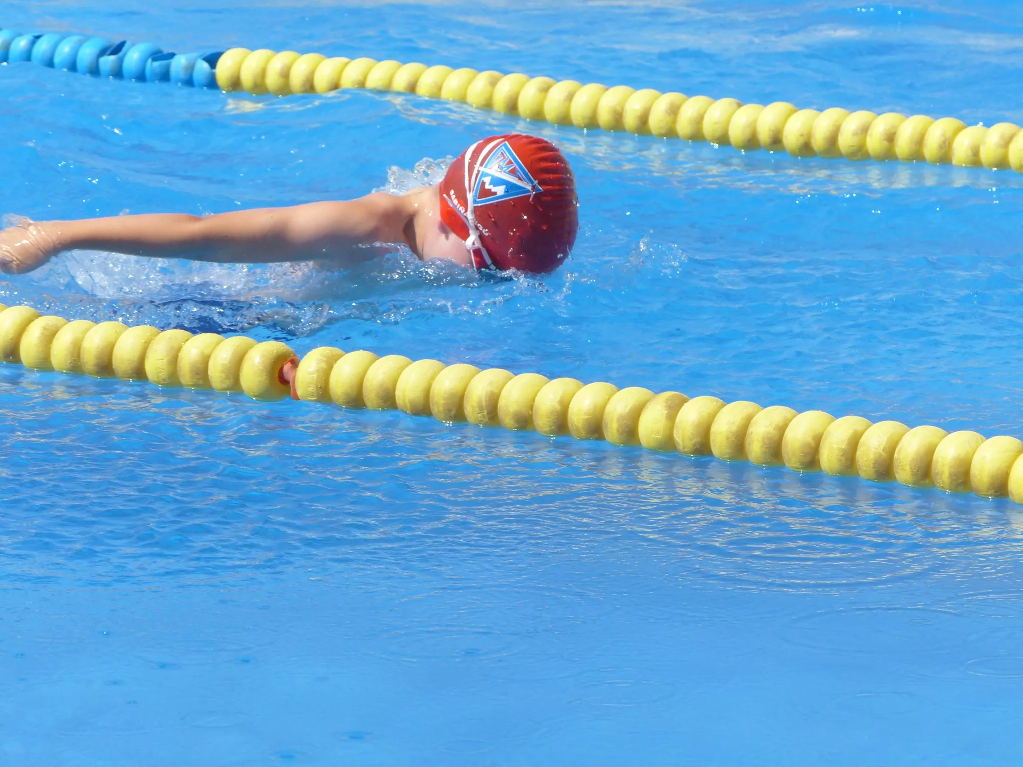 Trofeo Natación Santiago. Foto: Andrés Alcaraz