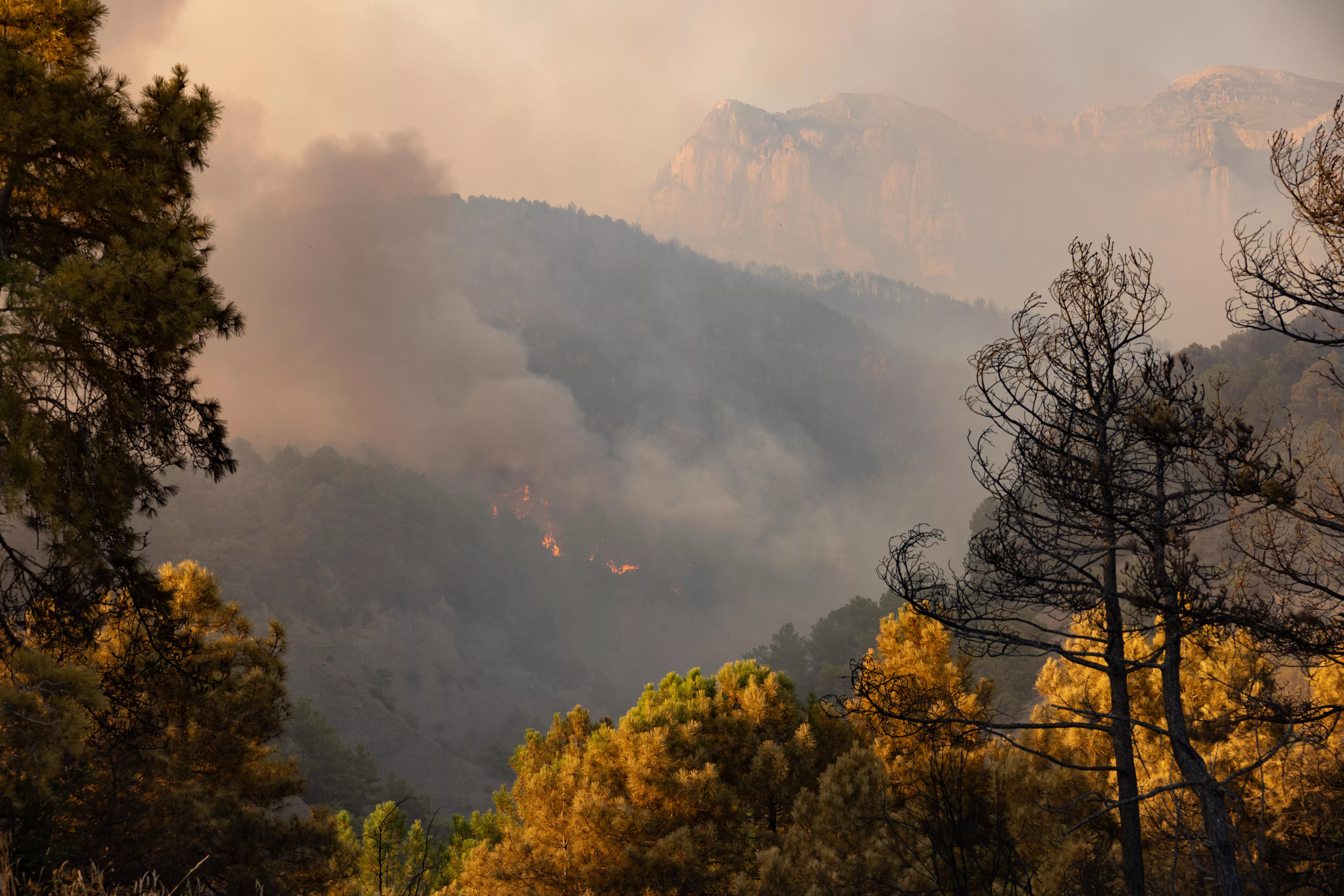 Incendio declarado en El Pueyo de Araguás. Foto Eduardo Ezequiel  