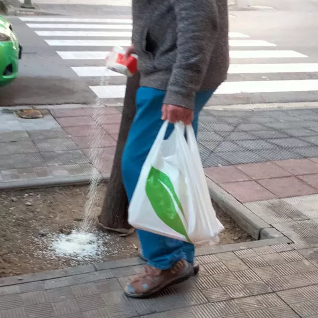 La persona que alimenta a las palomas, en plena acción