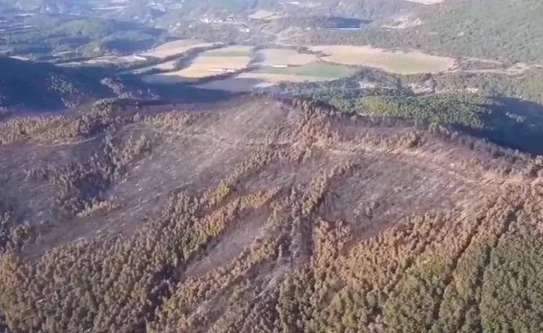 Imagen de una zona quemada.