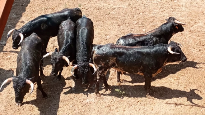 34ff590f fcf1 48a9 8bdf efdf016d6f95 34ff590f fcf1 48a9 8bdf efdf016d6f95