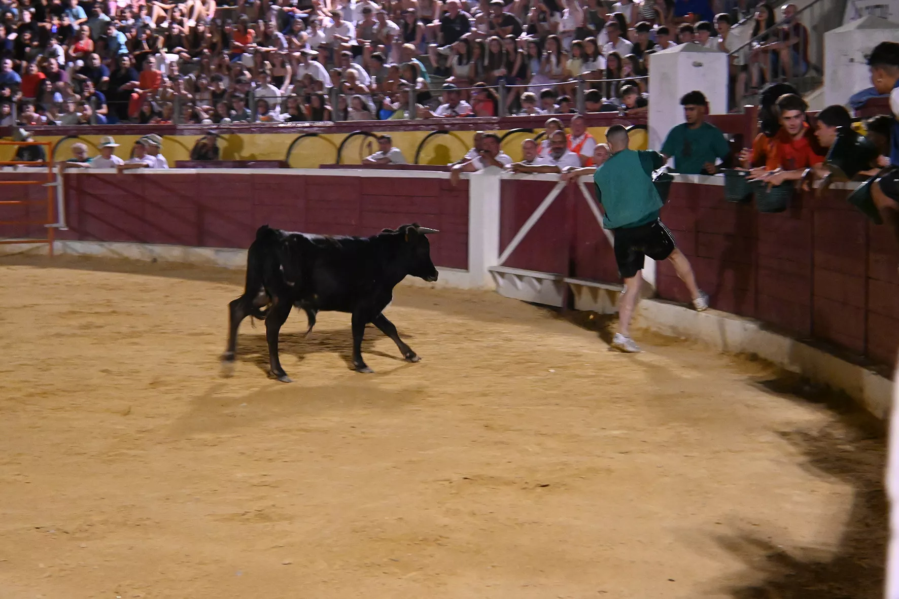 Imágenes del Gran Prix de las Peñas 2024. Foto: Carlos Jalle