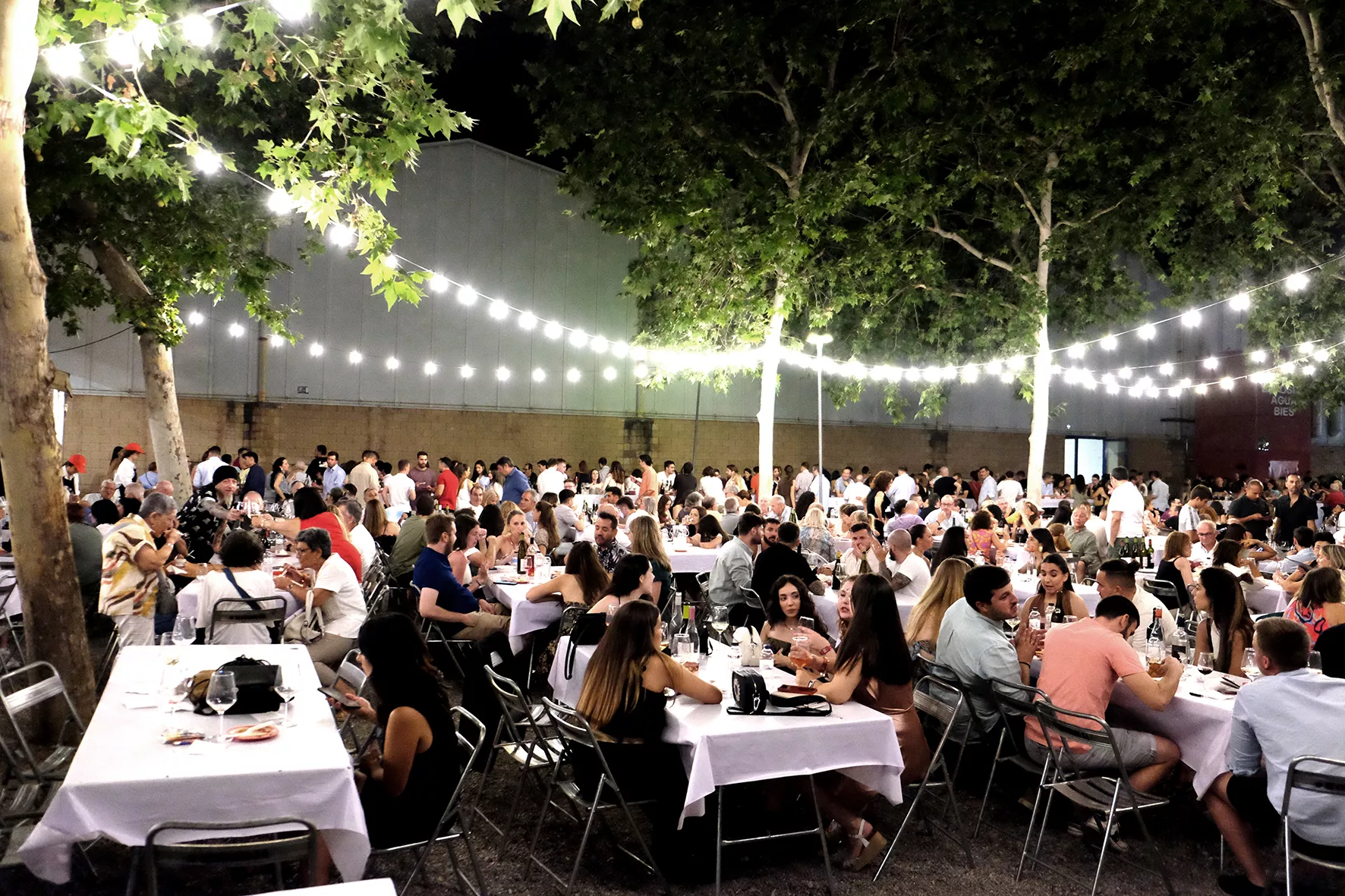 Muestra Gastronómica del Festival Vino Somontano.