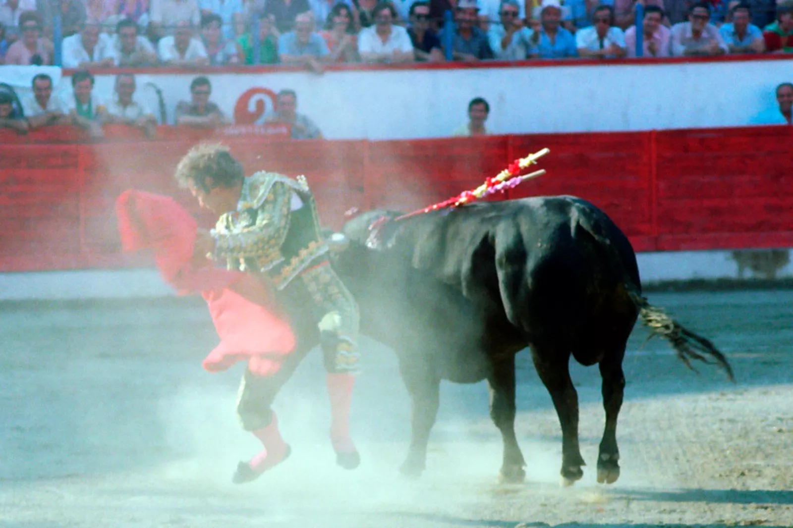 Manuel Benítez El Cordobés en el salto de la rana en 1981