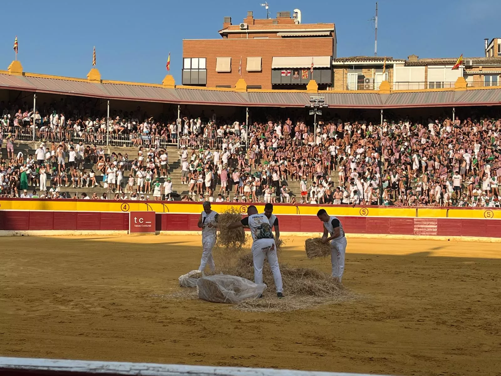 Imágenes de la becerrada de las peñas y Casta Aragonesa. Foto: Adrián Mora