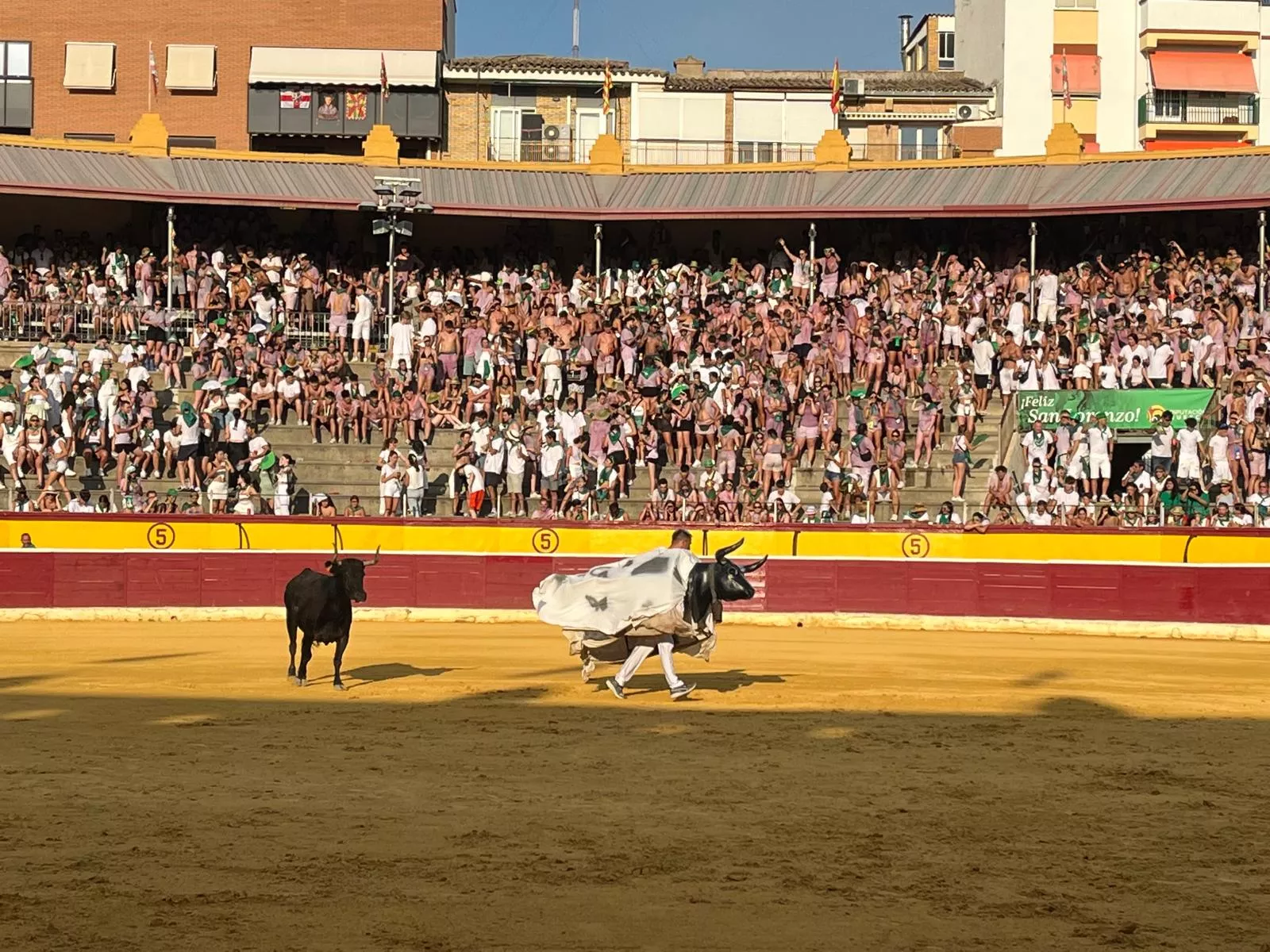 Imágenes de la becerrada de las peñas y Casta Aragonesa. Foto: Adrián Mora