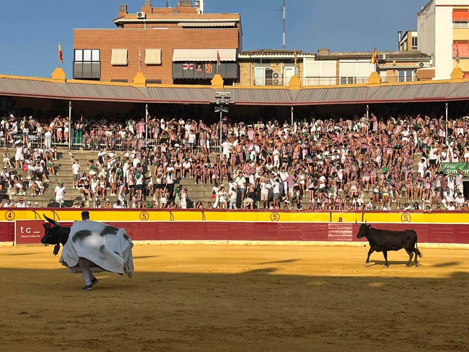 Imágenes de la becerrada de las peñas y Casta Aragonesa. Foto: Adrián Mora