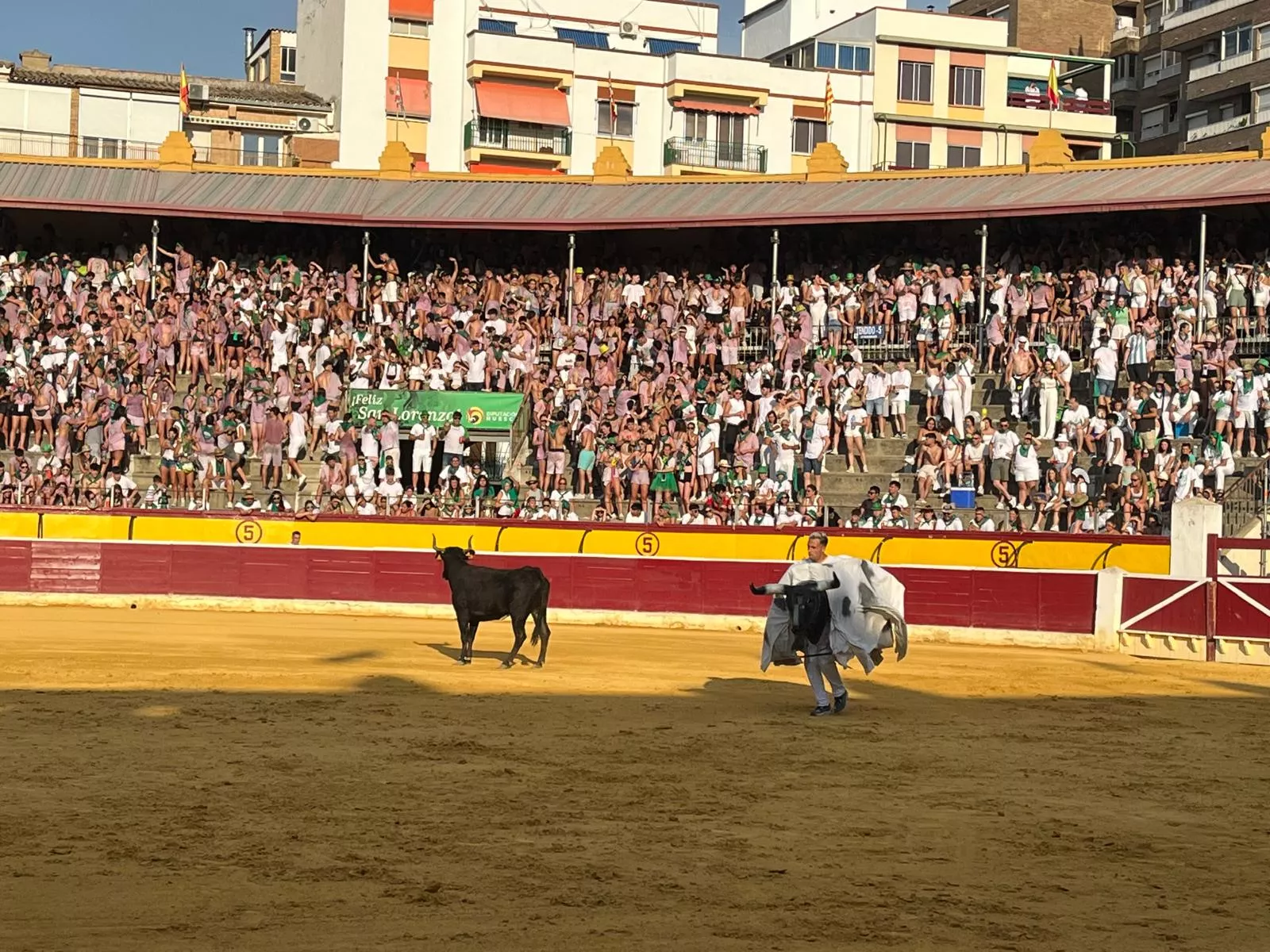 Imágenes de la becerrada de las peñas y Casta Aragonesa. Foto: Adrián Mora