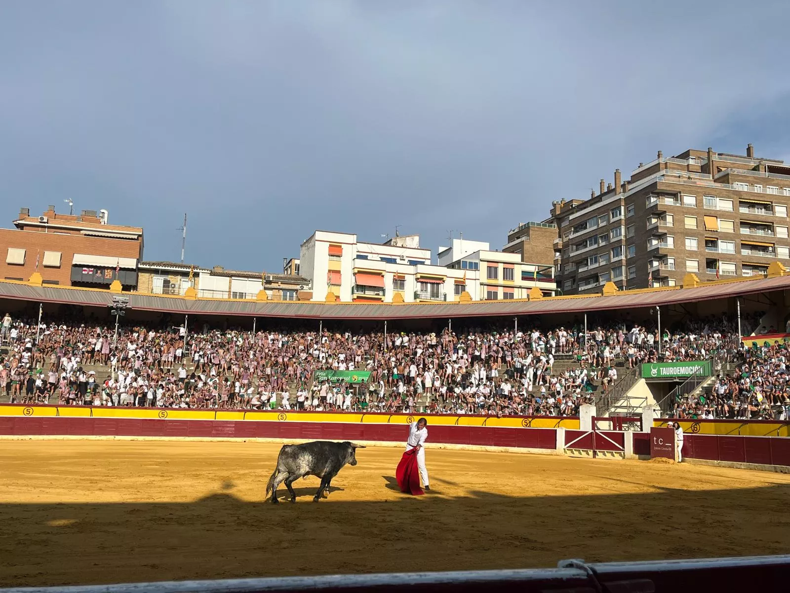 Imágenes de la becerrada de las peñas y Casta Aragonesa. Foto: Adrián Mora