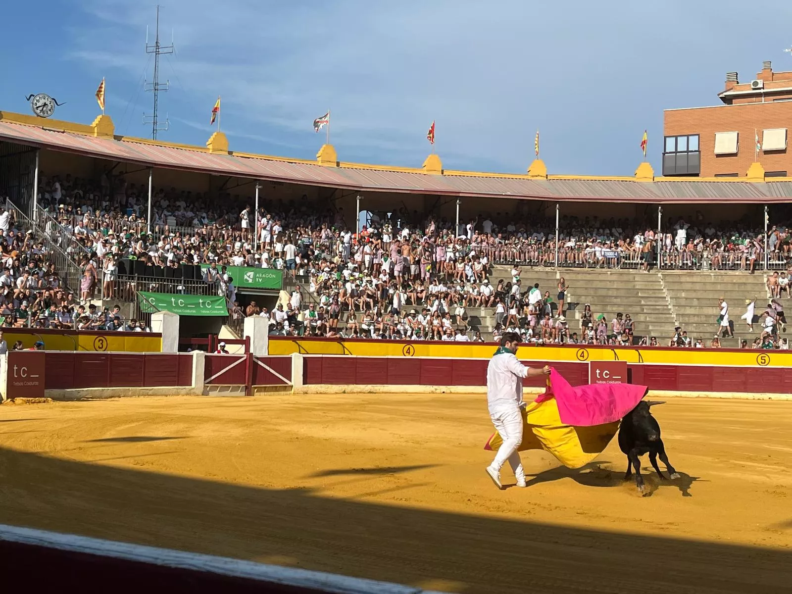 Imágenes de la becerrada de las peñas y Casta Aragonesa. Foto: Adrián Mora