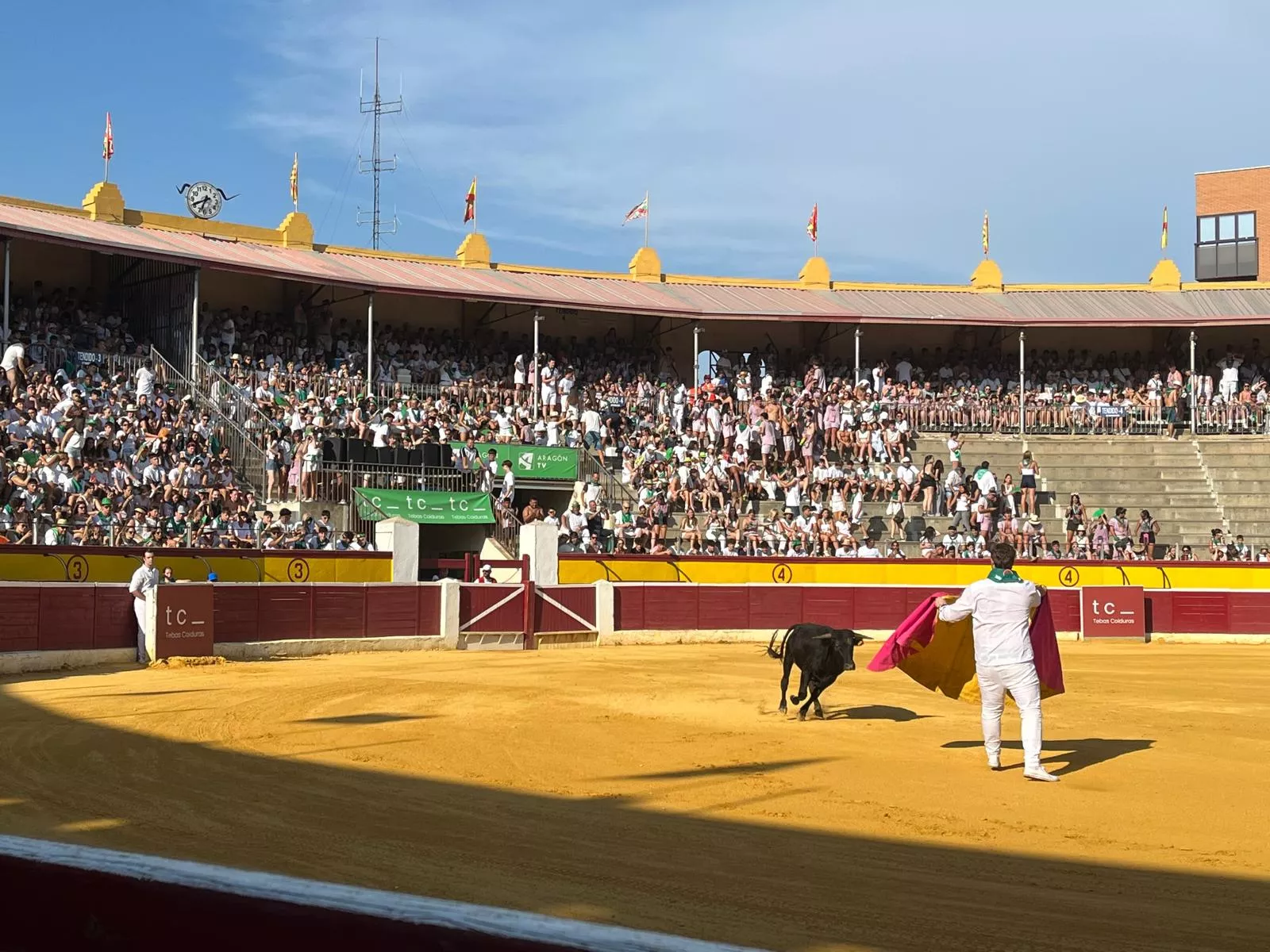 Imágenes de la becerrada de las peñas y Casta Aragonesa. Foto: Adrián Mora