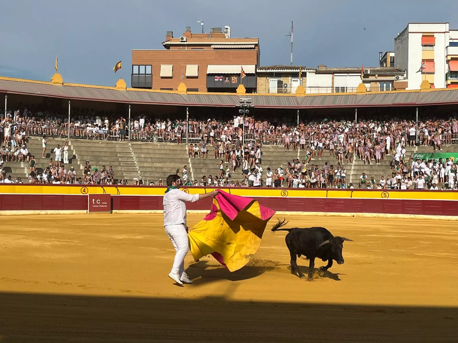 Imágenes de la becerrada de las peñas y Casta Aragonesa. Foto: Adrián Mora