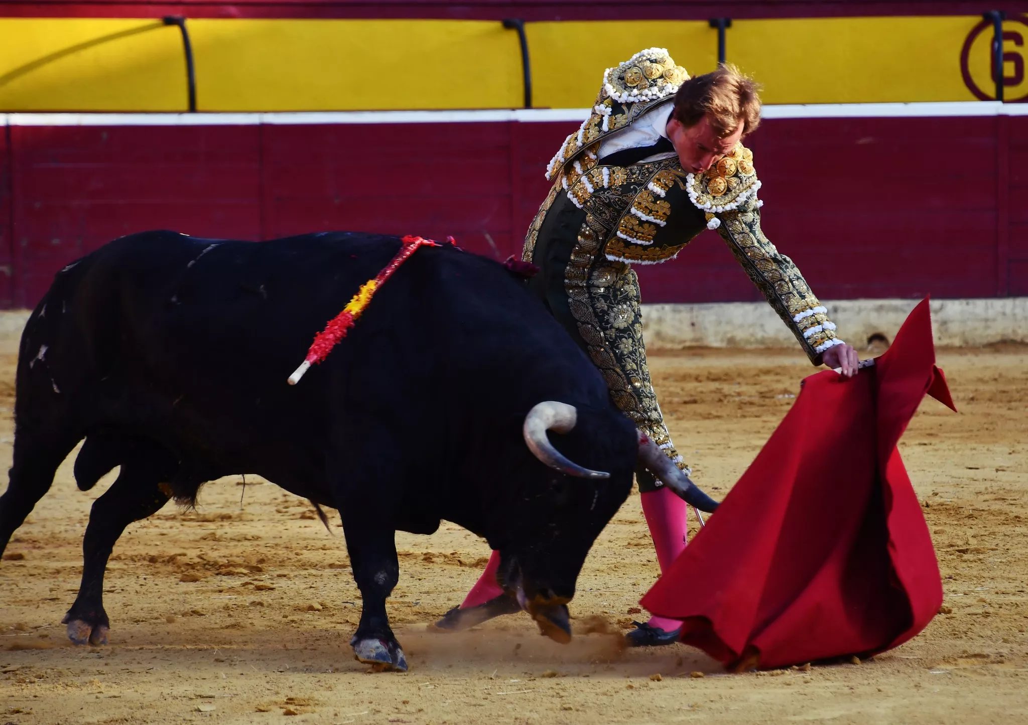 Imágenes de la primera corrida de toros de la Feria de La Albahaca 2024. Foto: Tauroemoción