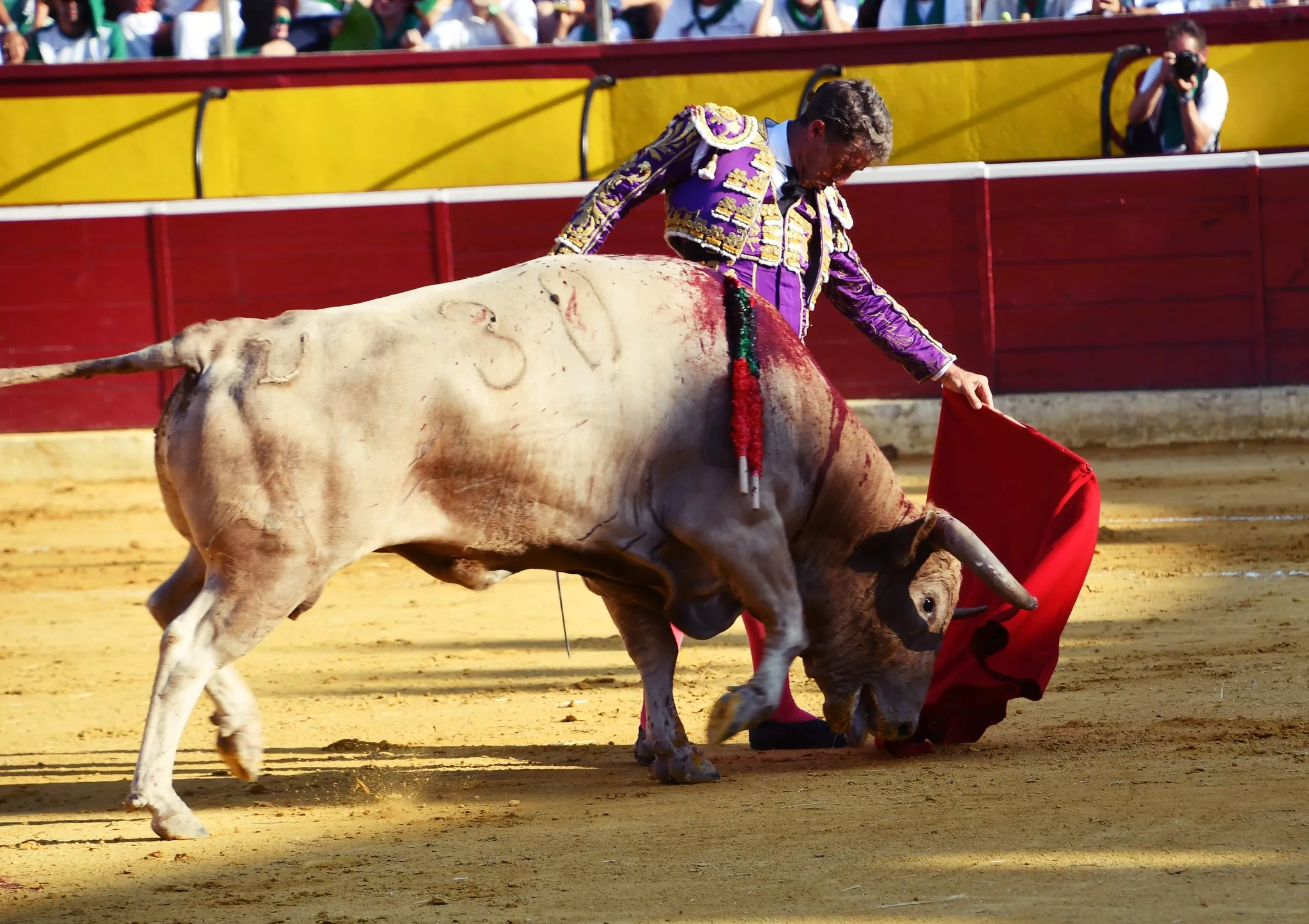 Imágenes de la primera corrida de toros de la Feria de La Albahaca 2024. Foto: Tauroemoción