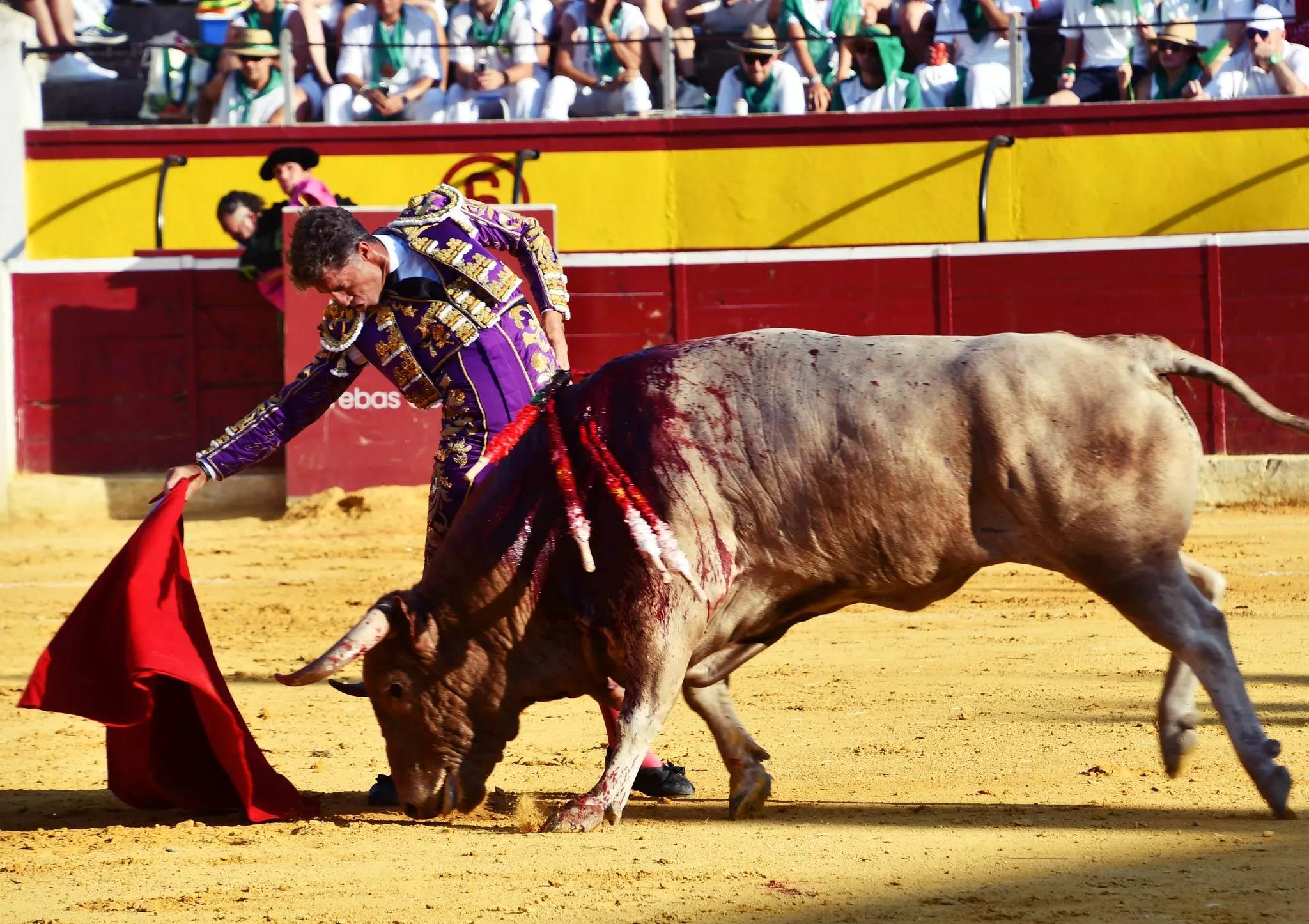 Imágenes de la primera corrida de toros de la Feria de La Albahaca 2024. Foto: Tauroemoción