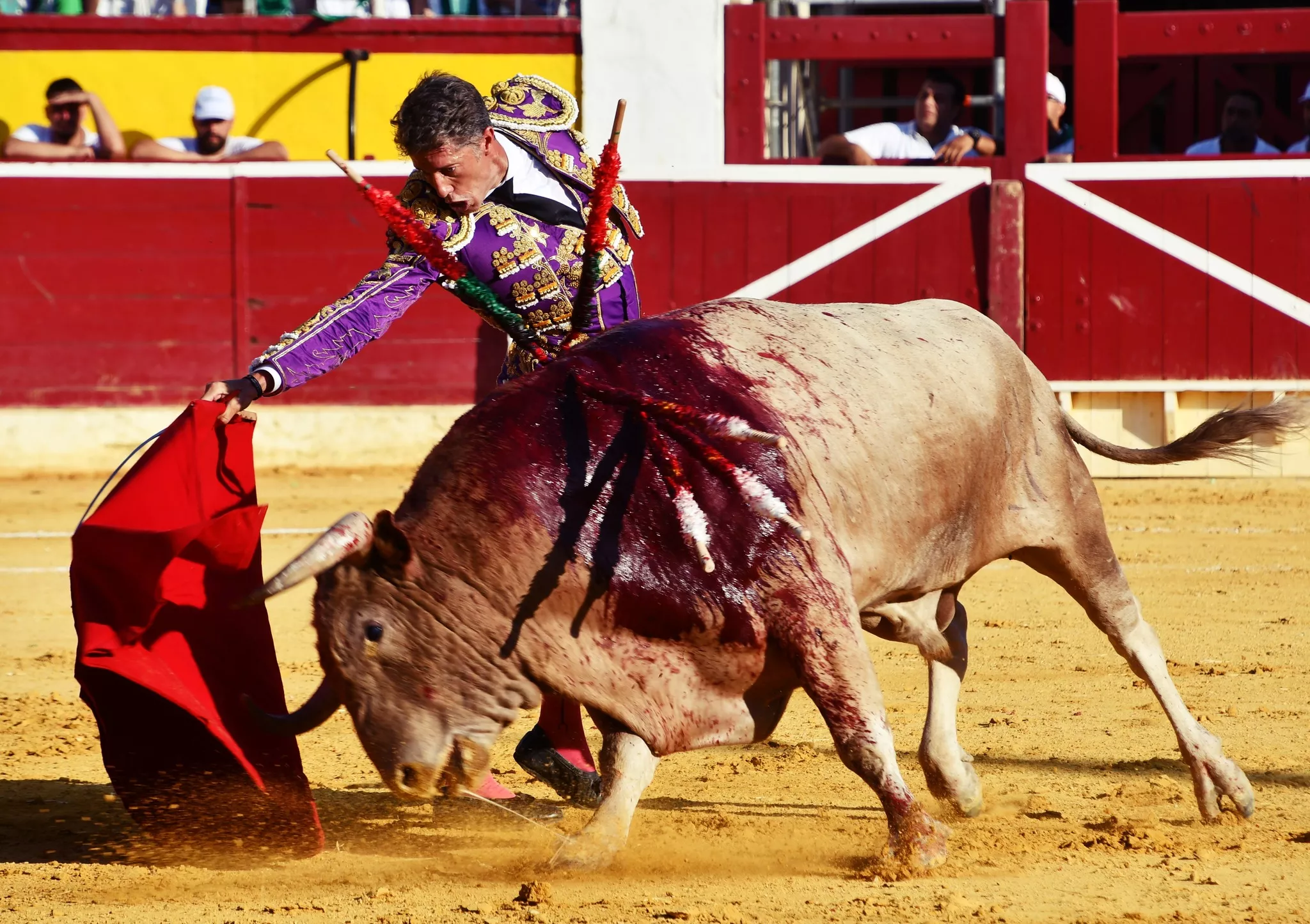 Imágenes de la primera corrida de toros de la Feria de La Albahaca 2024. Foto: Tauroemoción
