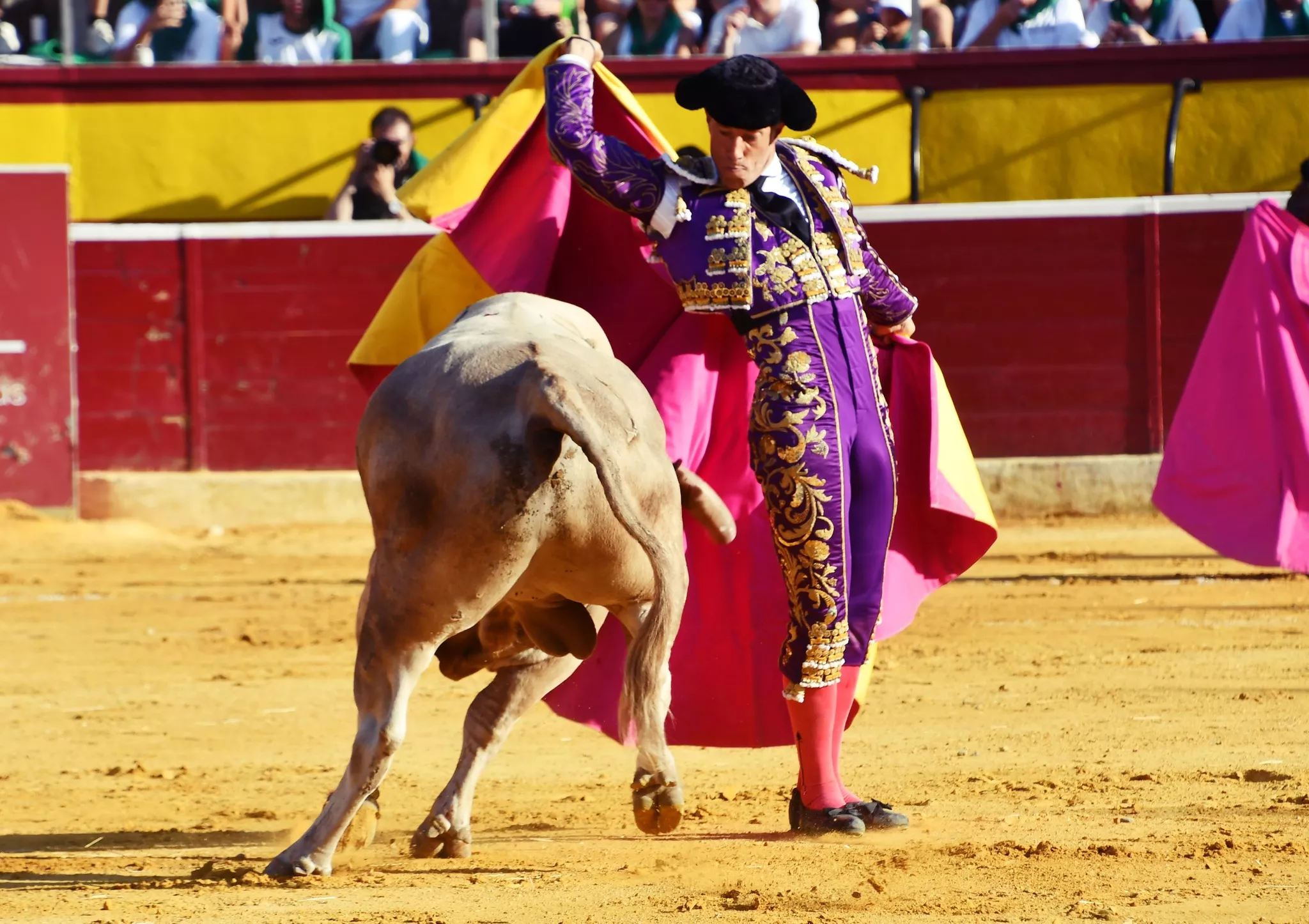 Imágenes de la primera corrida de toros de la Feria de La Albahaca 2024. Foto: Tauroemoción