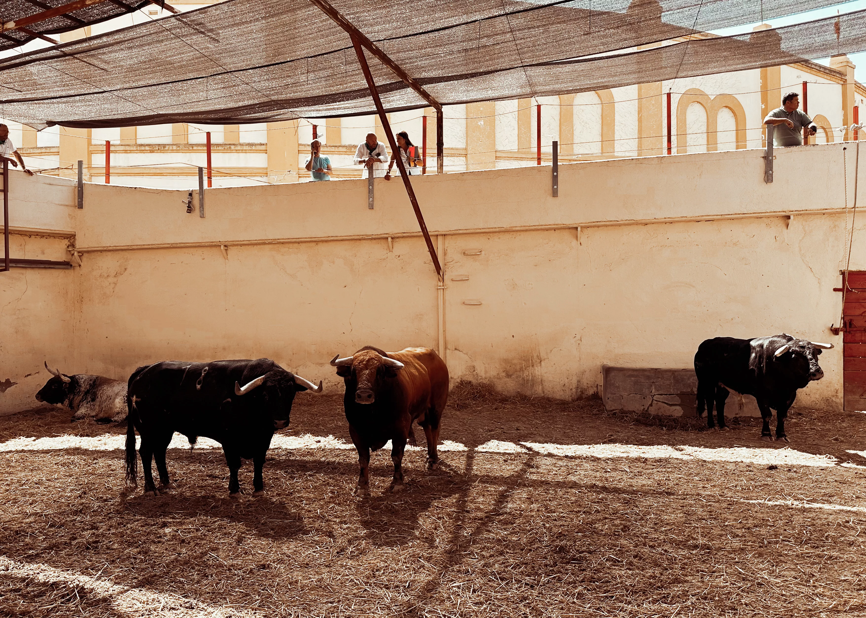 Orden de lidia para la segunda corrida de la Feria con Enrique Ponce, David Galván y Ginés Marín