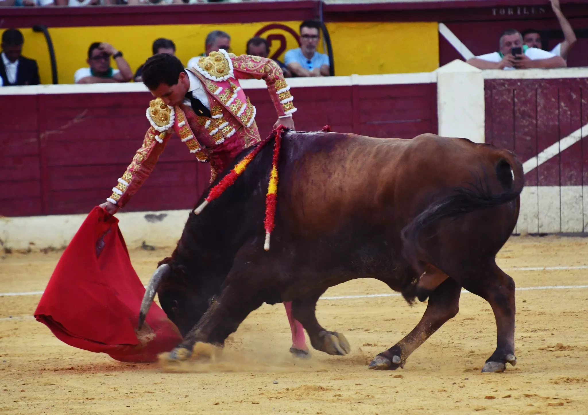 454636698 1180451246328291 2800881504395595101 n