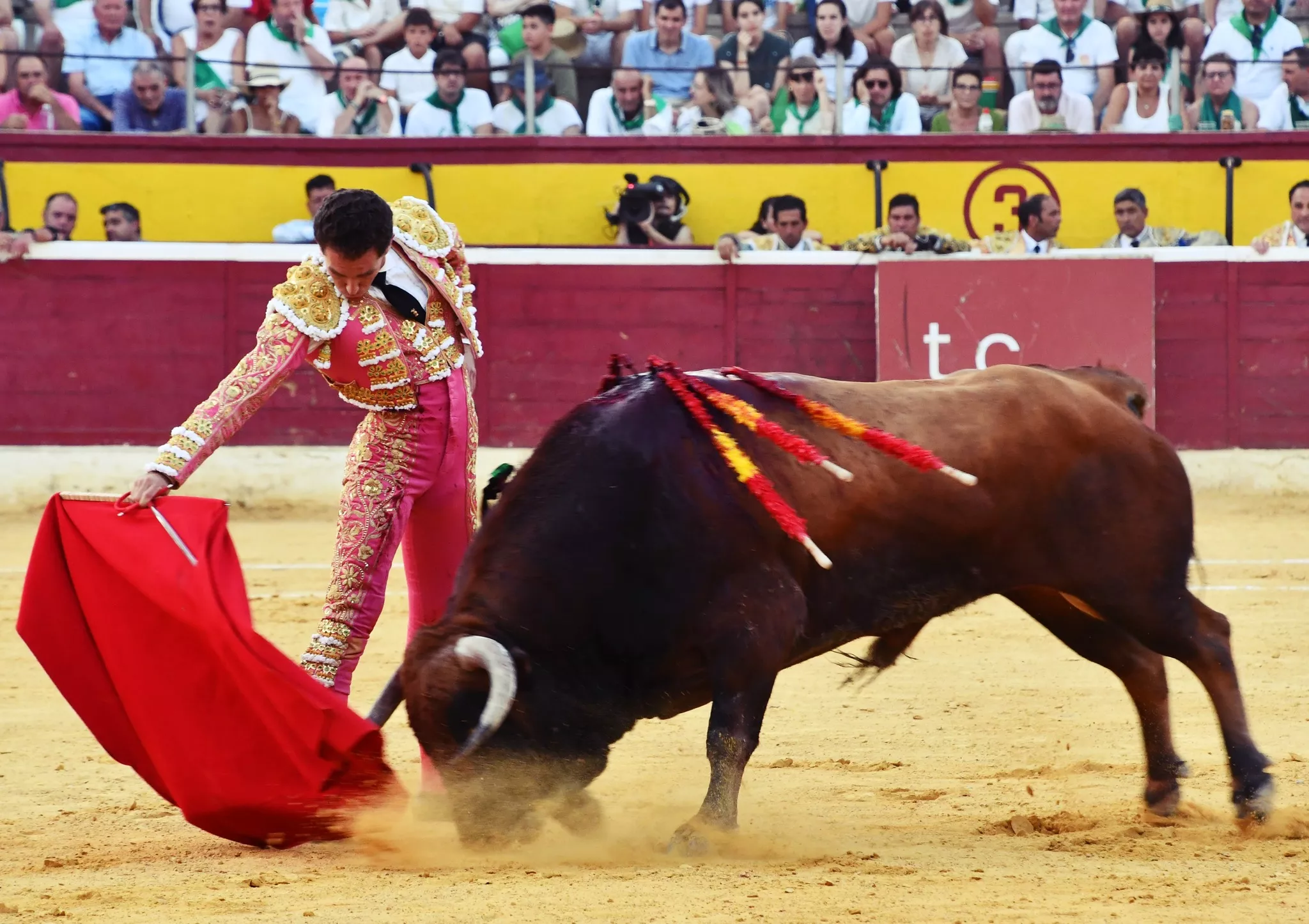 454808250 1180451639661585 764732254914895537 n