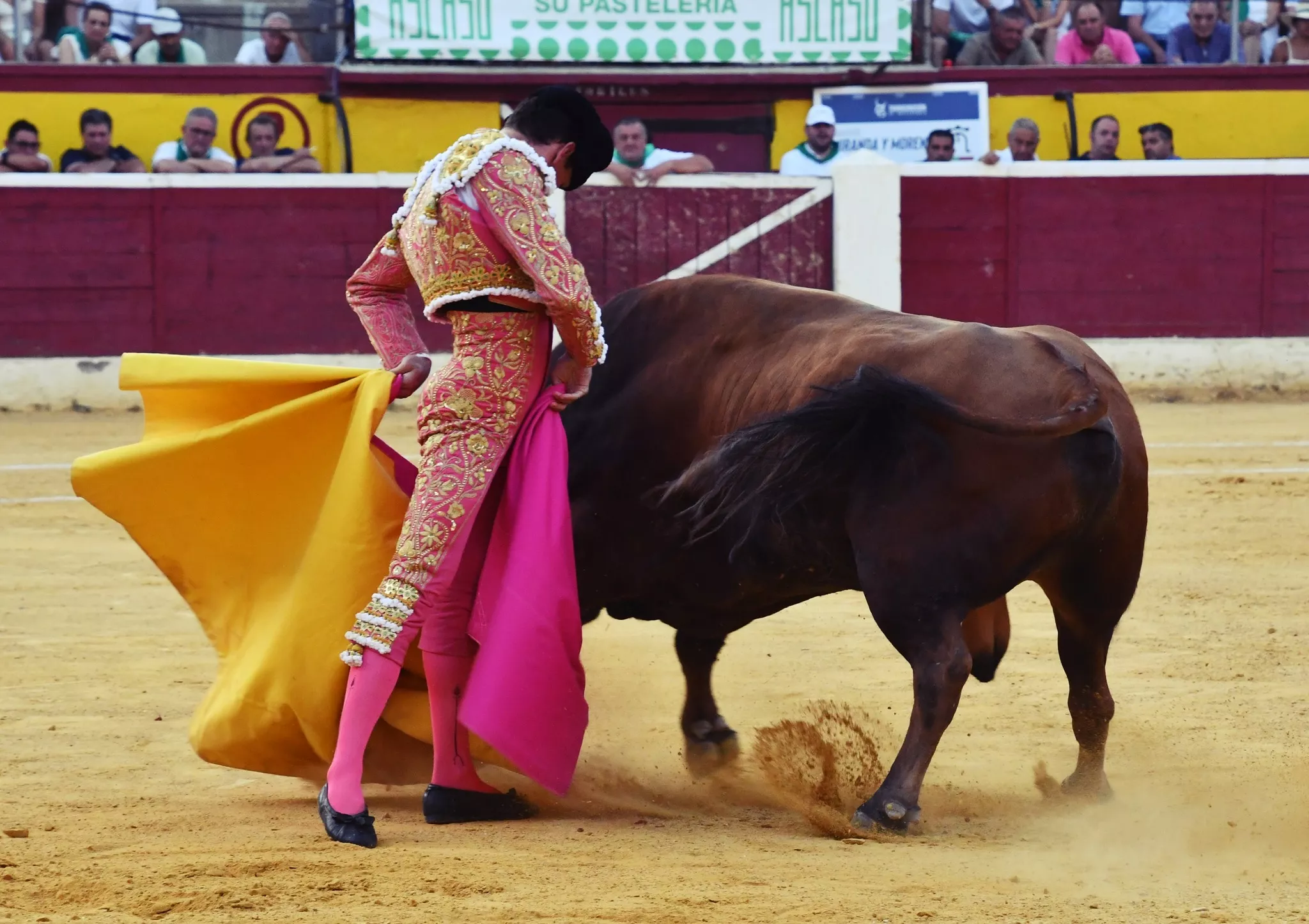 454740649 1180451492994933 905728699201331853 n