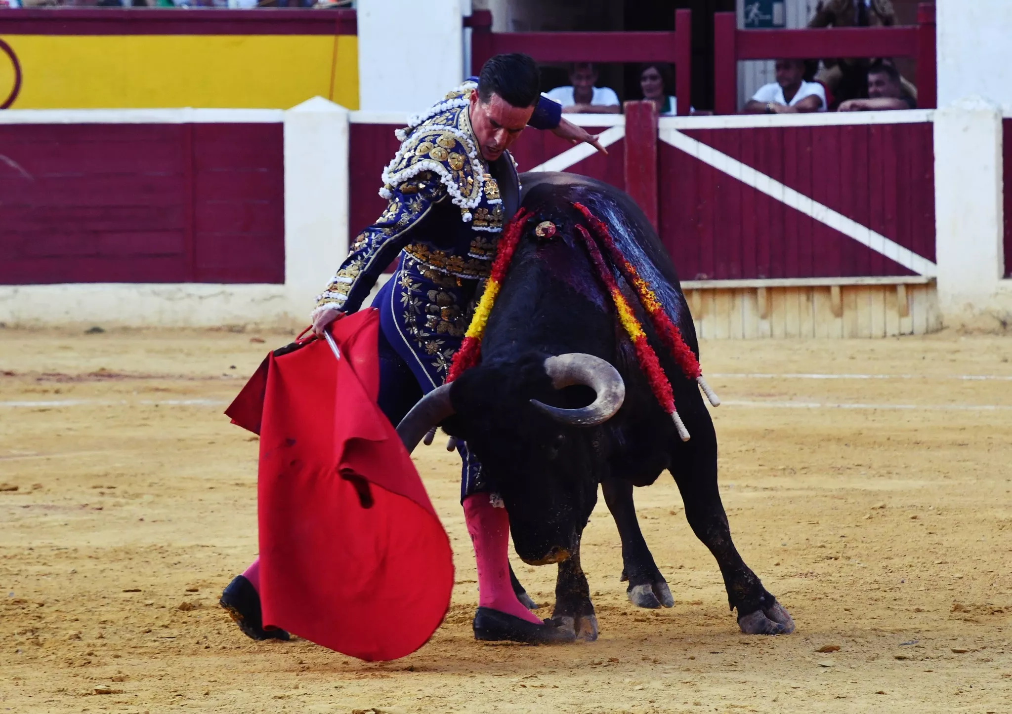 442494931 1180451239661625 1123709777419407292 n