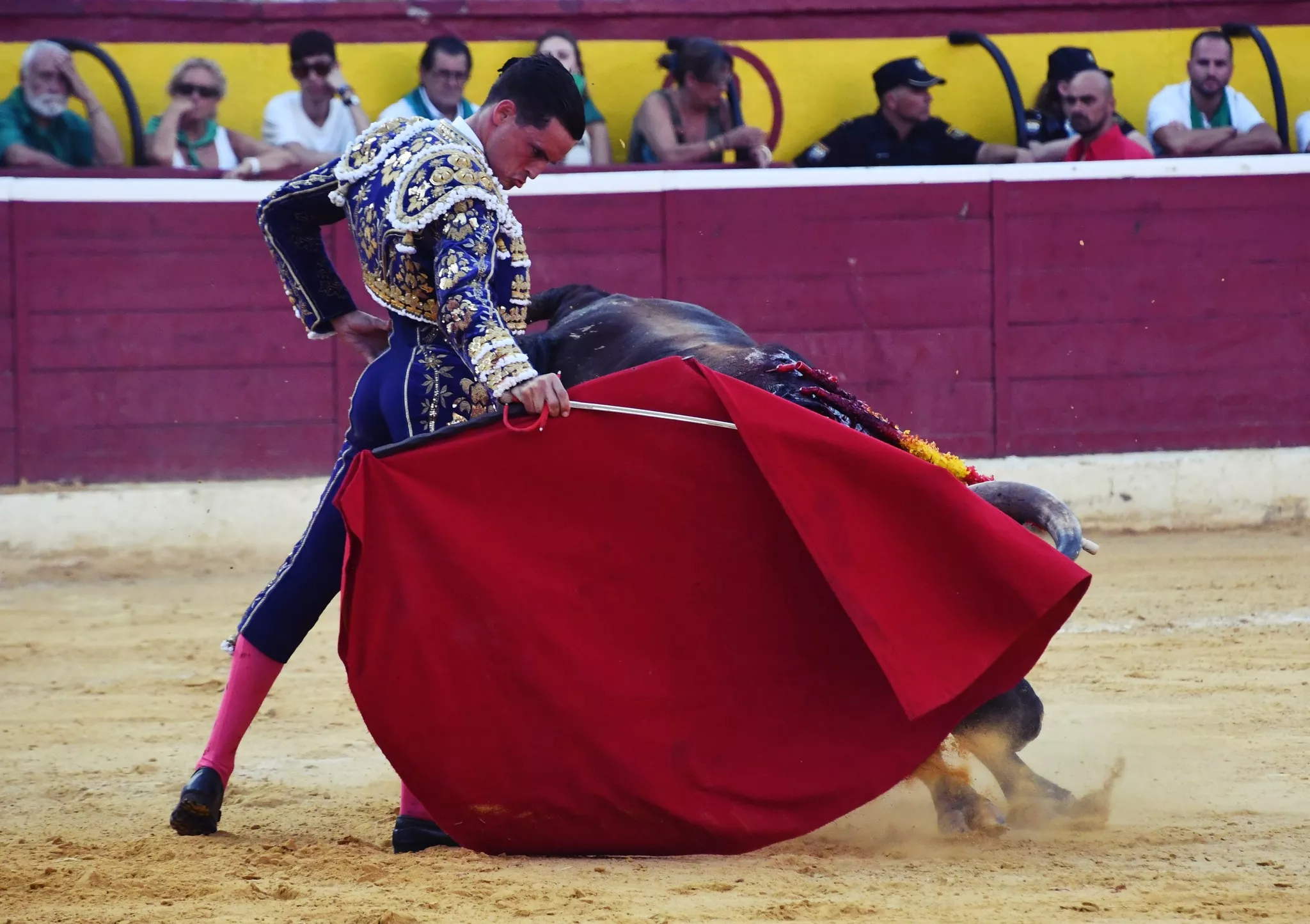 454653059 1180451462994936 1655135766552087830 n