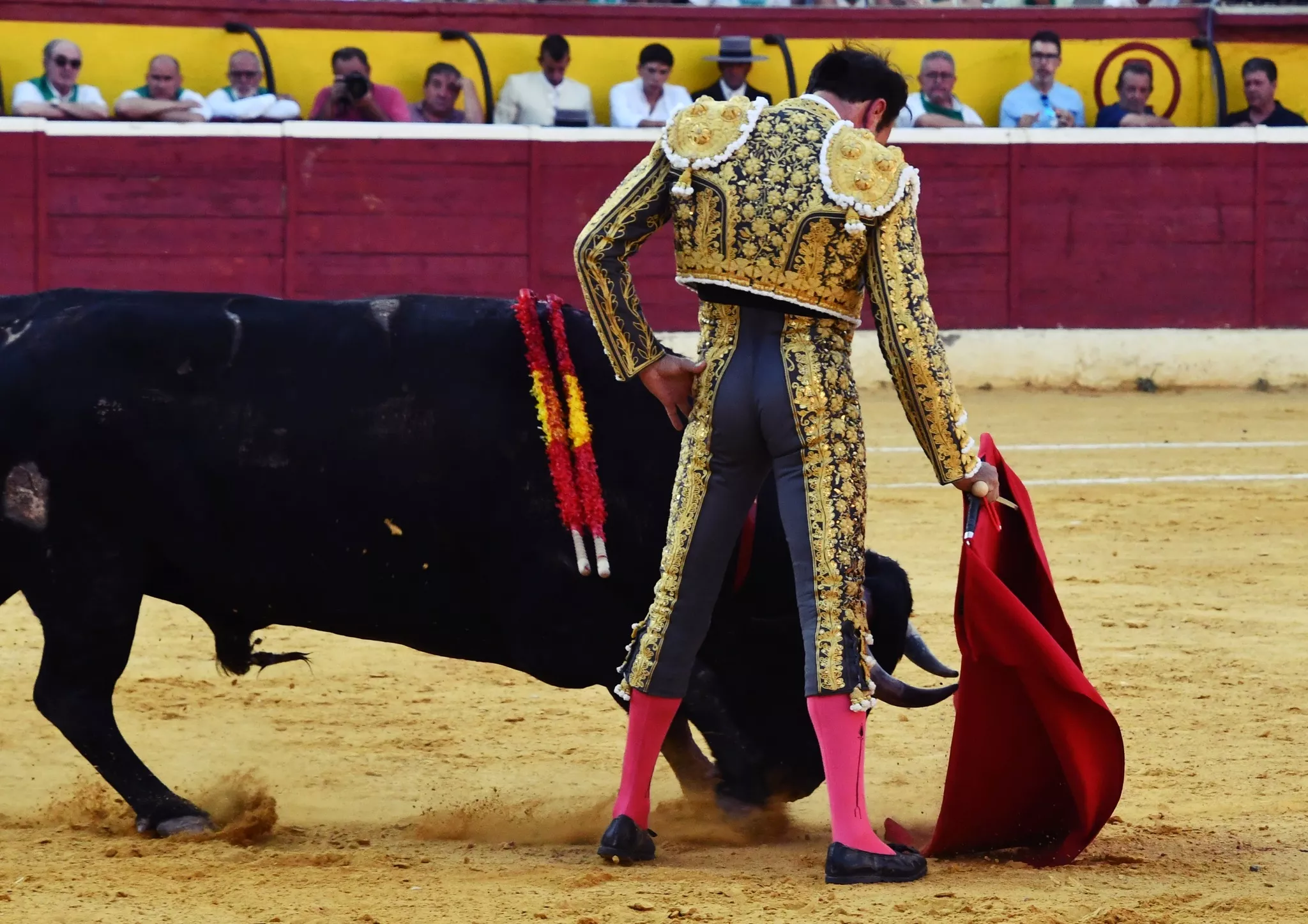 454740640 1180451206328295 8507683323410629440 n