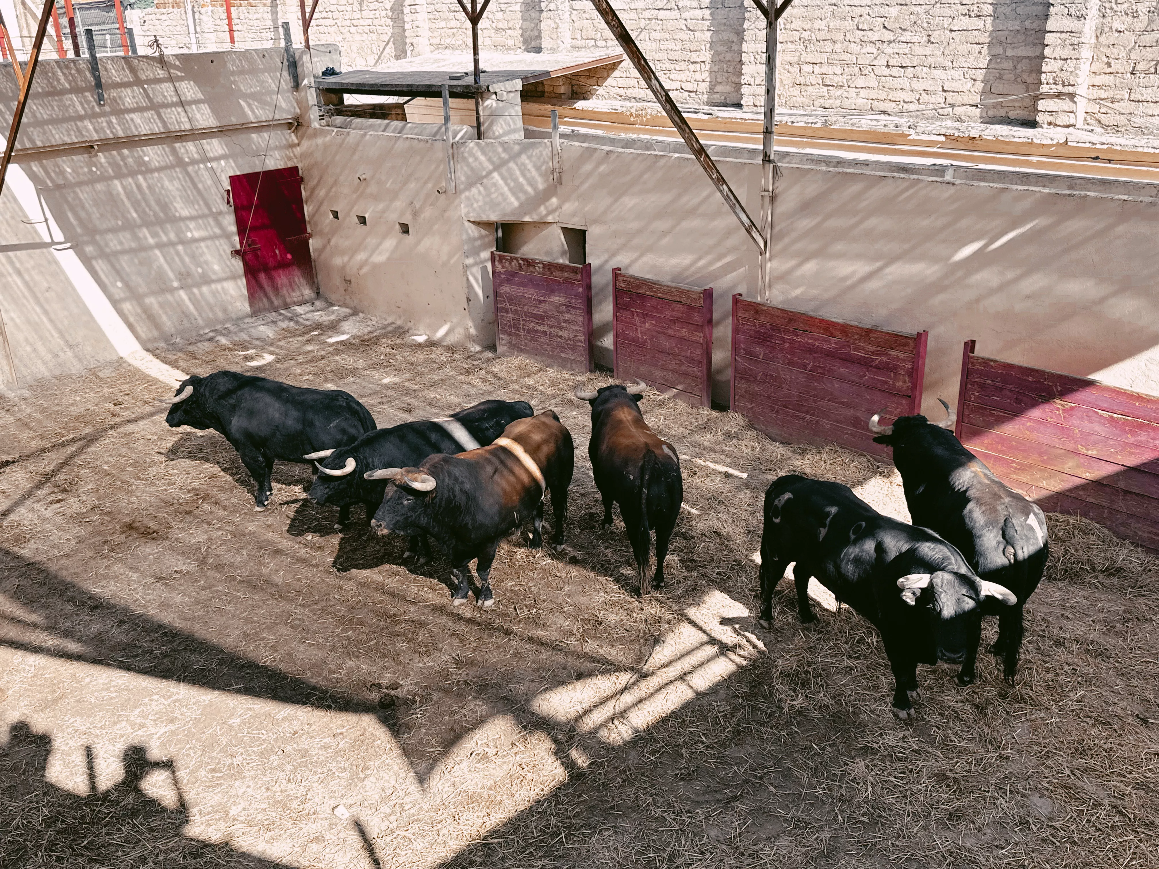 Orden de lidia de la tercera corrida de toros de la Feria de La Albahaca 2024