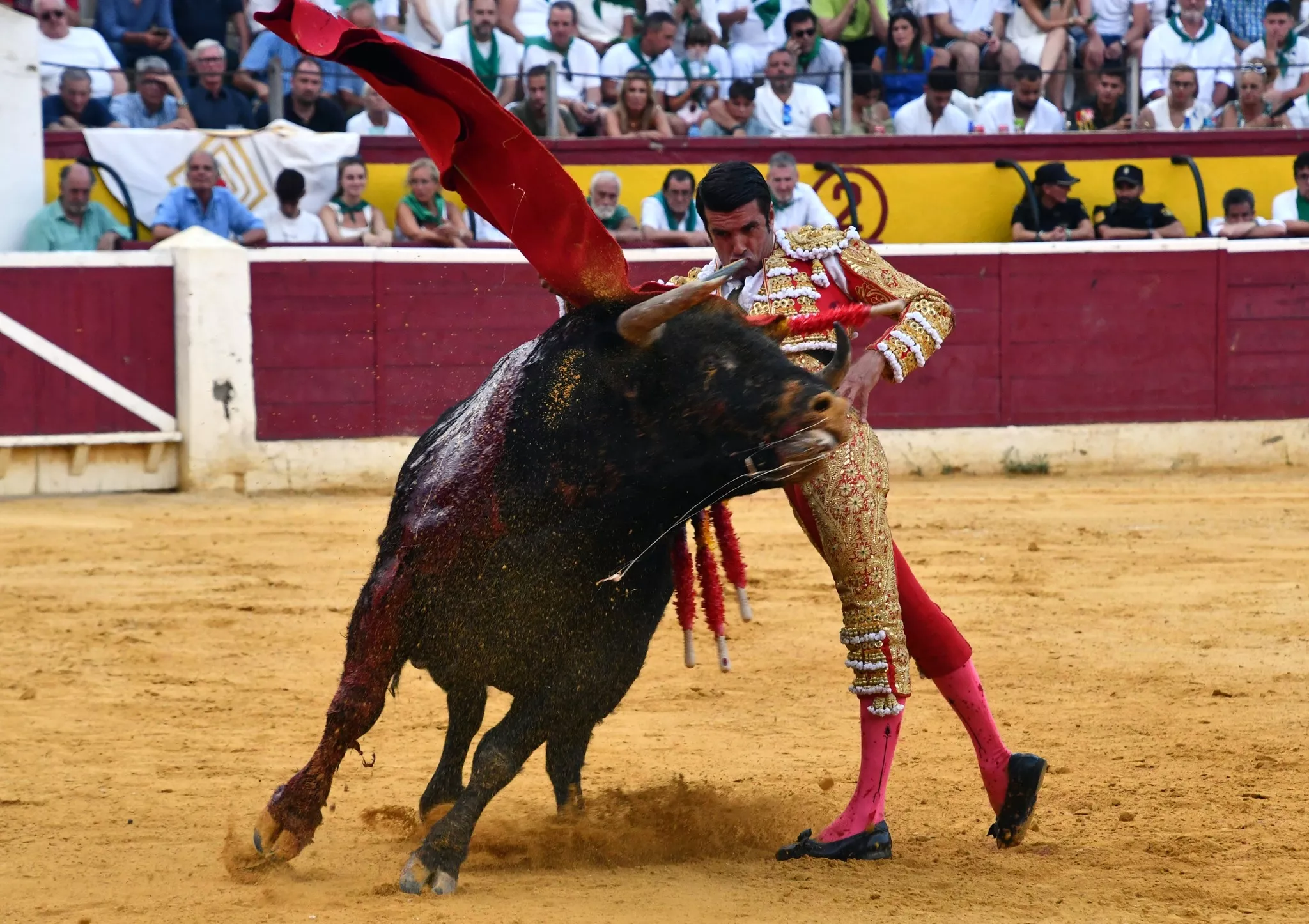 Imágenes de la tercera corrida de la Feria taurina de La Albahaca 2024