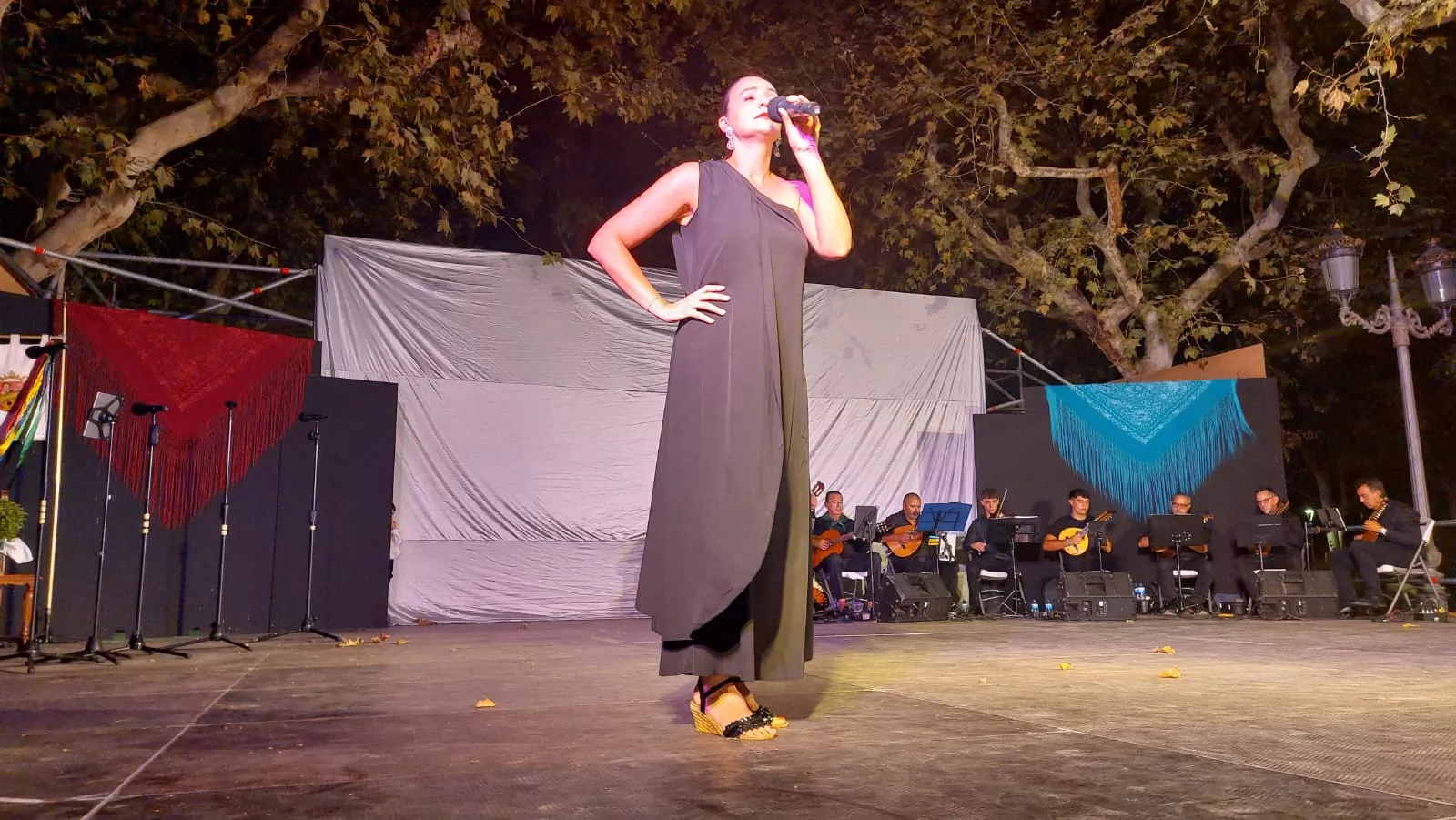 Actuación del Grupo San Lorenzo en el parque Miguel Servet