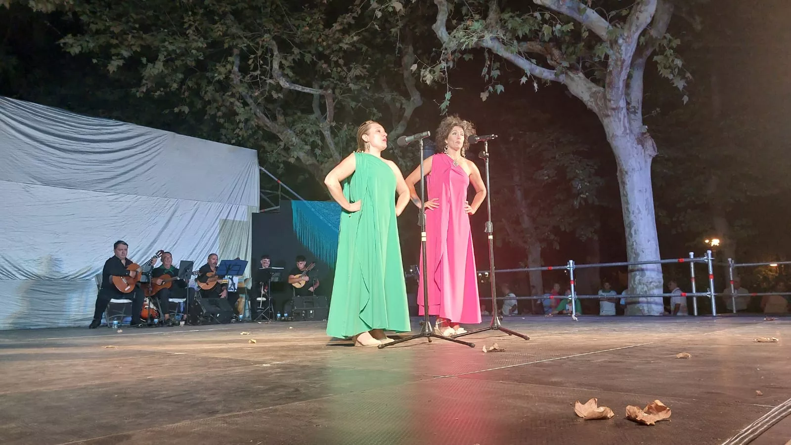 Actuación del Grupo San Lorenzo en el parque Miguel Servet