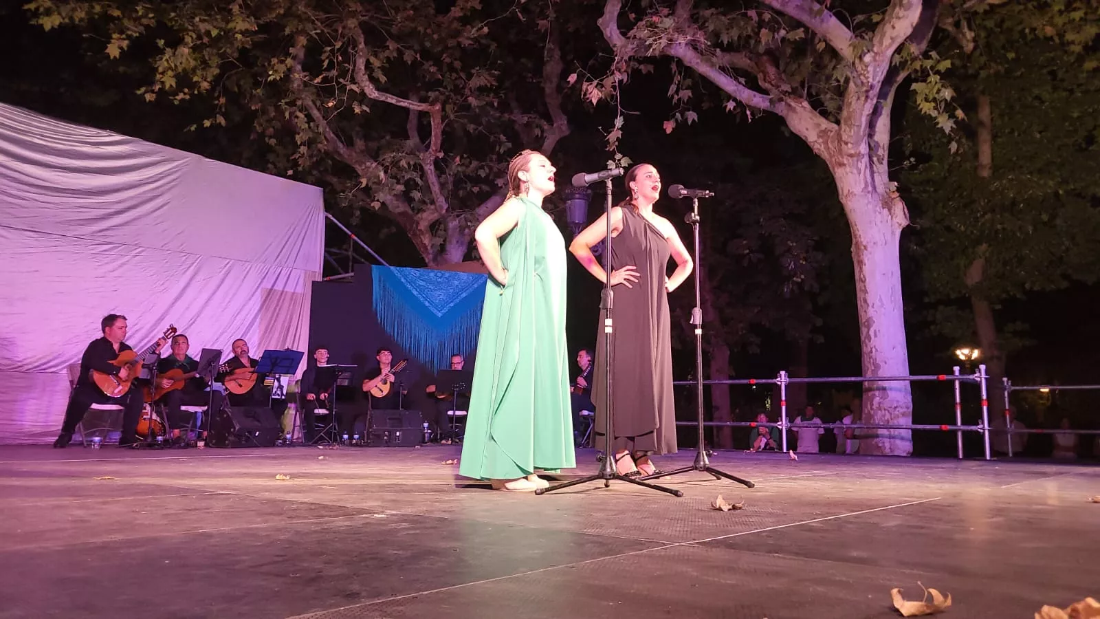 Actuación del Grupo San Lorenzo en el parque Miguel Servet