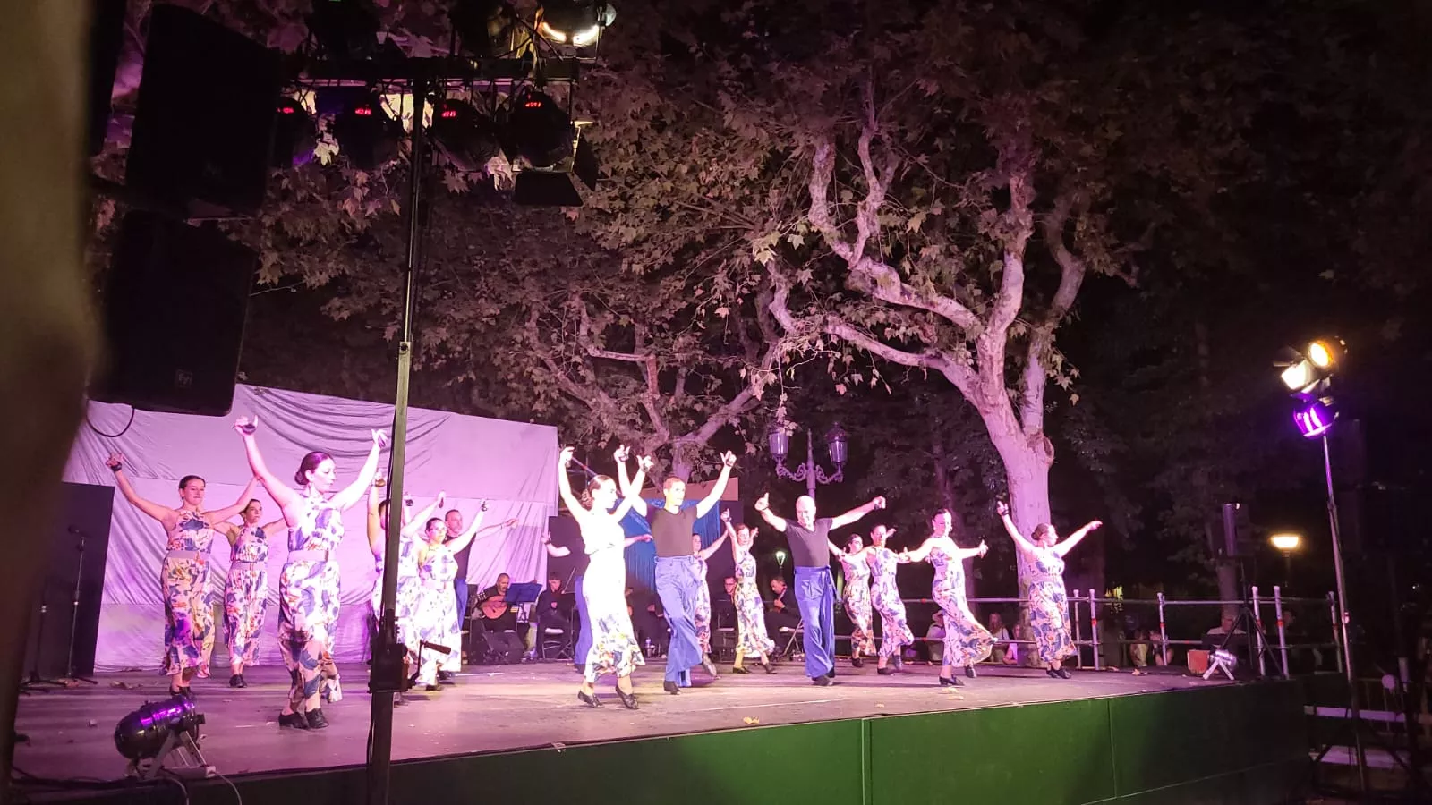 Actuación del Grupo San Lorenzo en el parque Miguel Servet