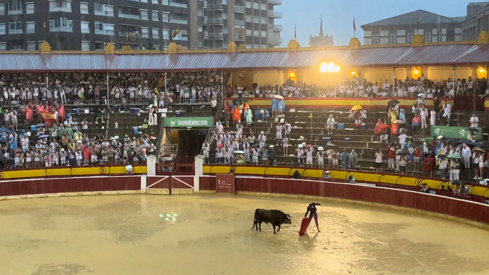 El PSOE considera urgente actuar para mejorar el drenaje de la plaza de toros.