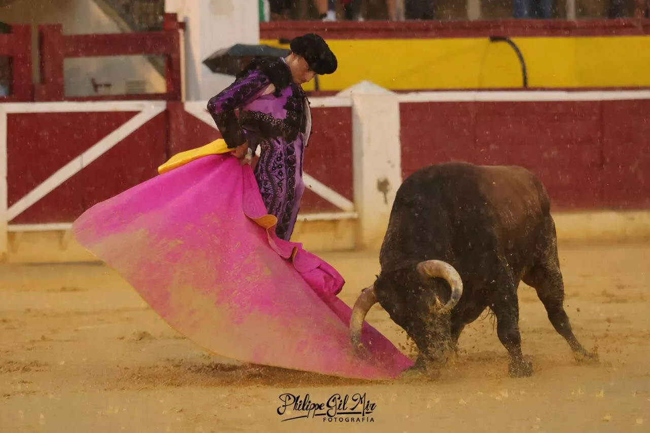 455145468 1181691342870948 6426550286032845120 n