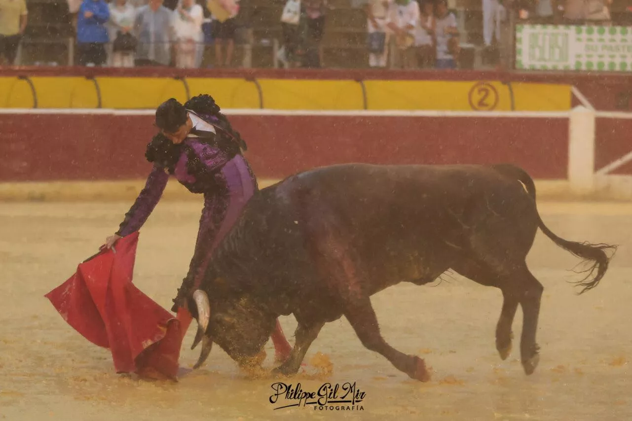 455325323 1181691346204281 6566092515267073537 n