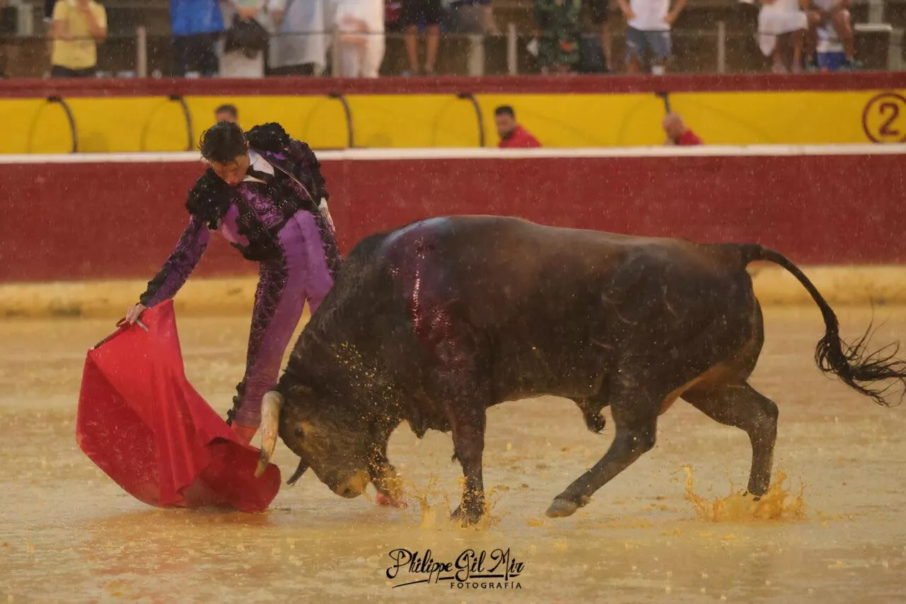 455265181 1181691309537618 5448571307047754642 n