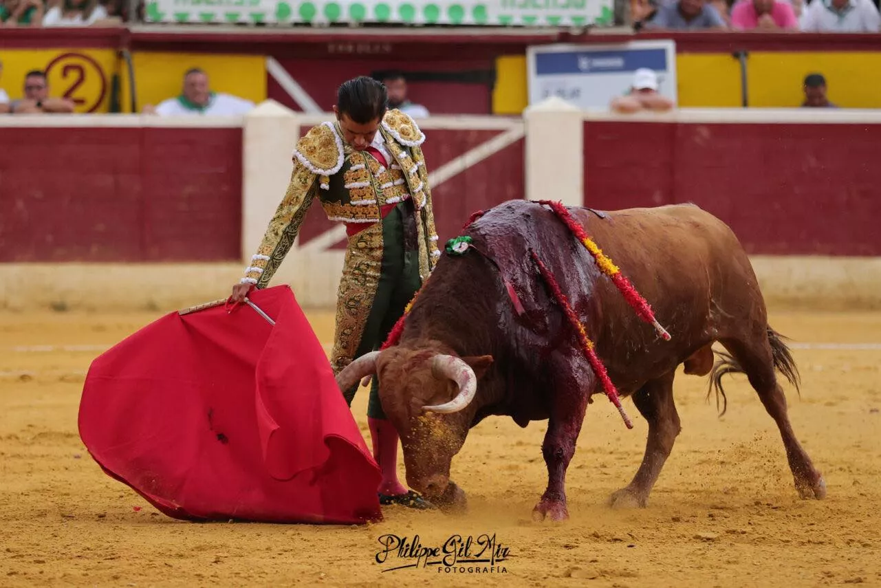 455263786 1181689492871133 4499869341449757858 n