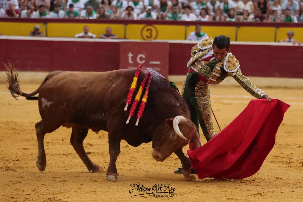 455136767 1181689542871128 8237976750369660254 n