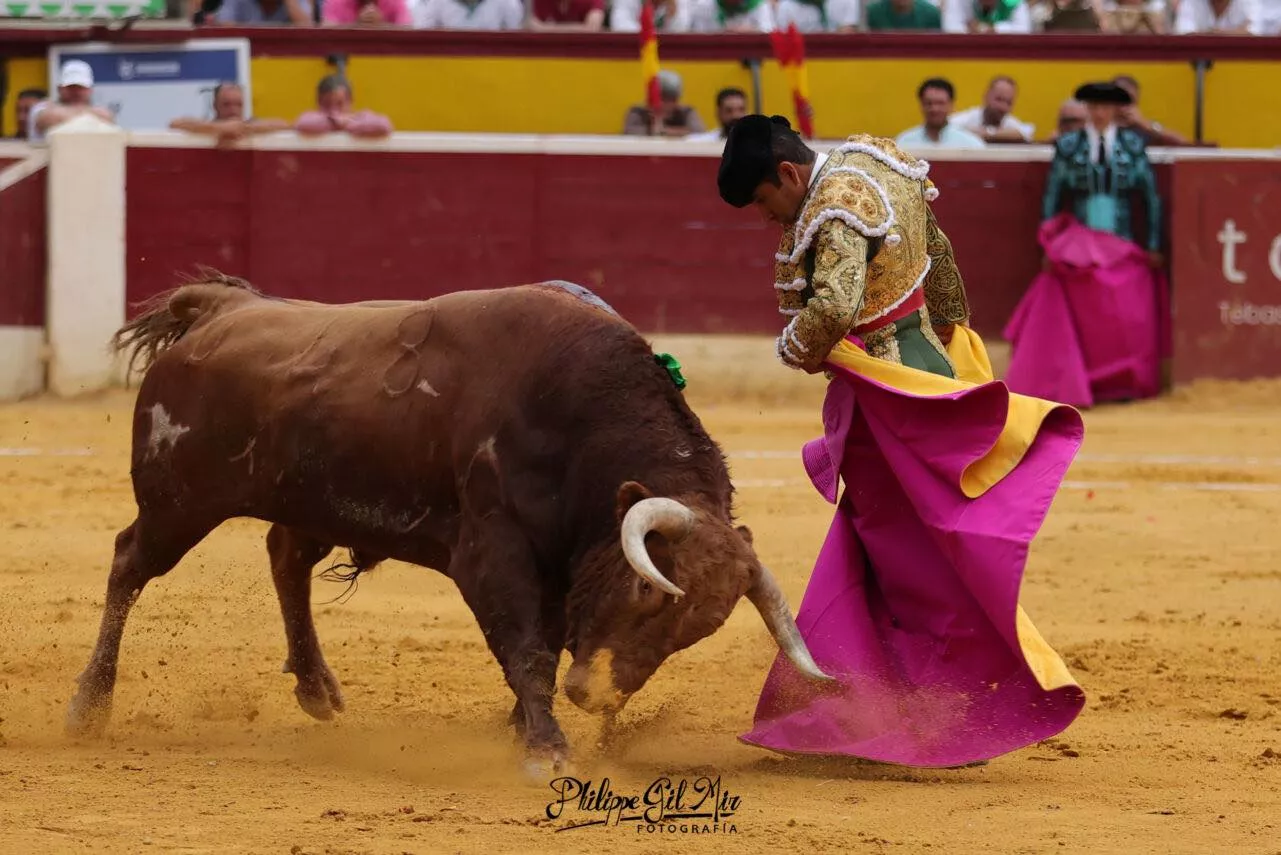 455140767 1181689496204466 5300998816346669848 n