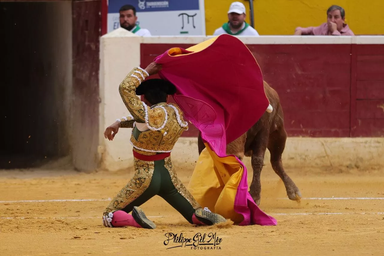 455240716 1181689429537806 7978052766381611629 n