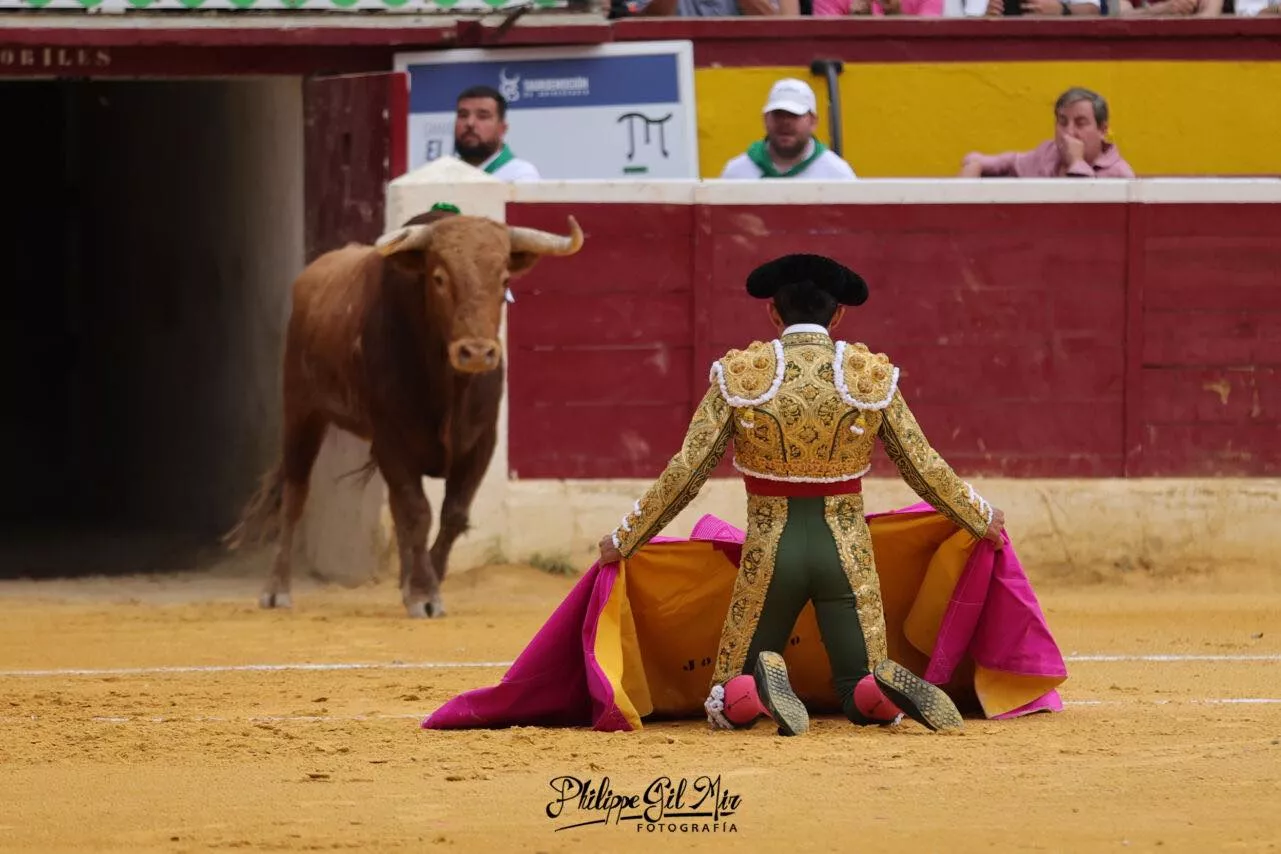 455261104 1181689416204474 7424368006825533812 n