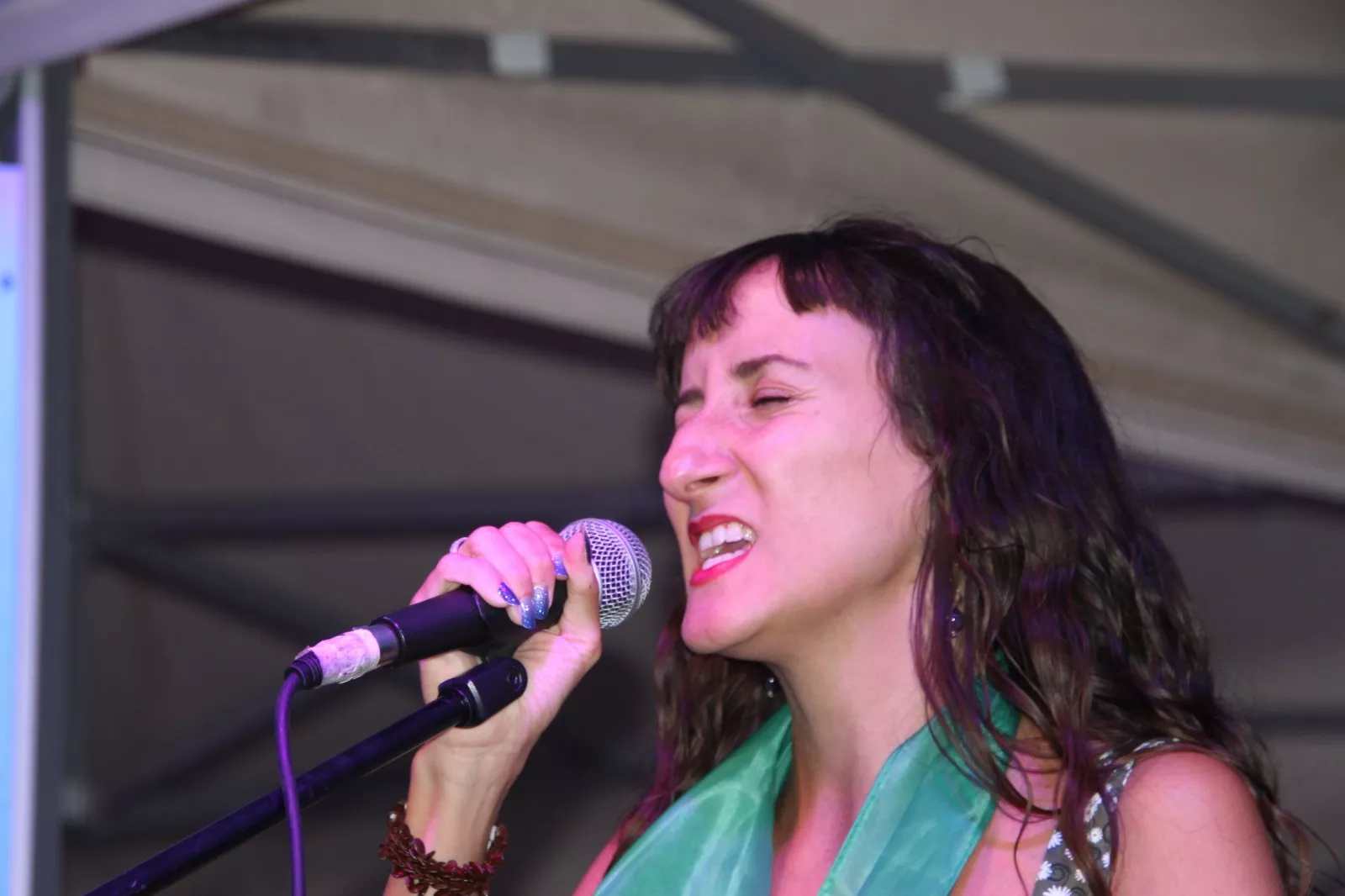 Concierto de Lo Salvaje. Foto Carlos Neofato 