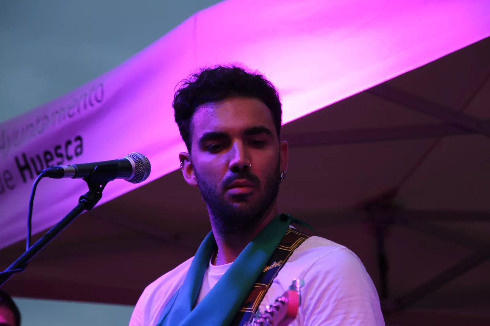 Concierto de Lo Salvaje. Foto Carlos Neofato 