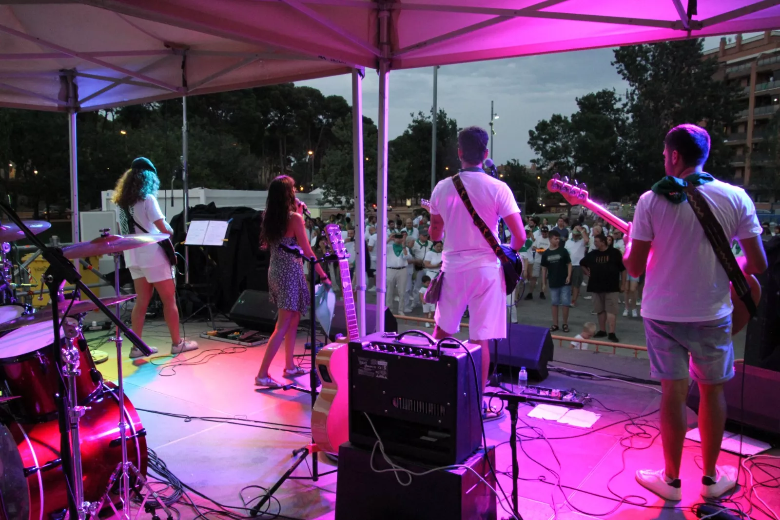 Concierto de Lo Salvaje. Foto Carlos Neofato 