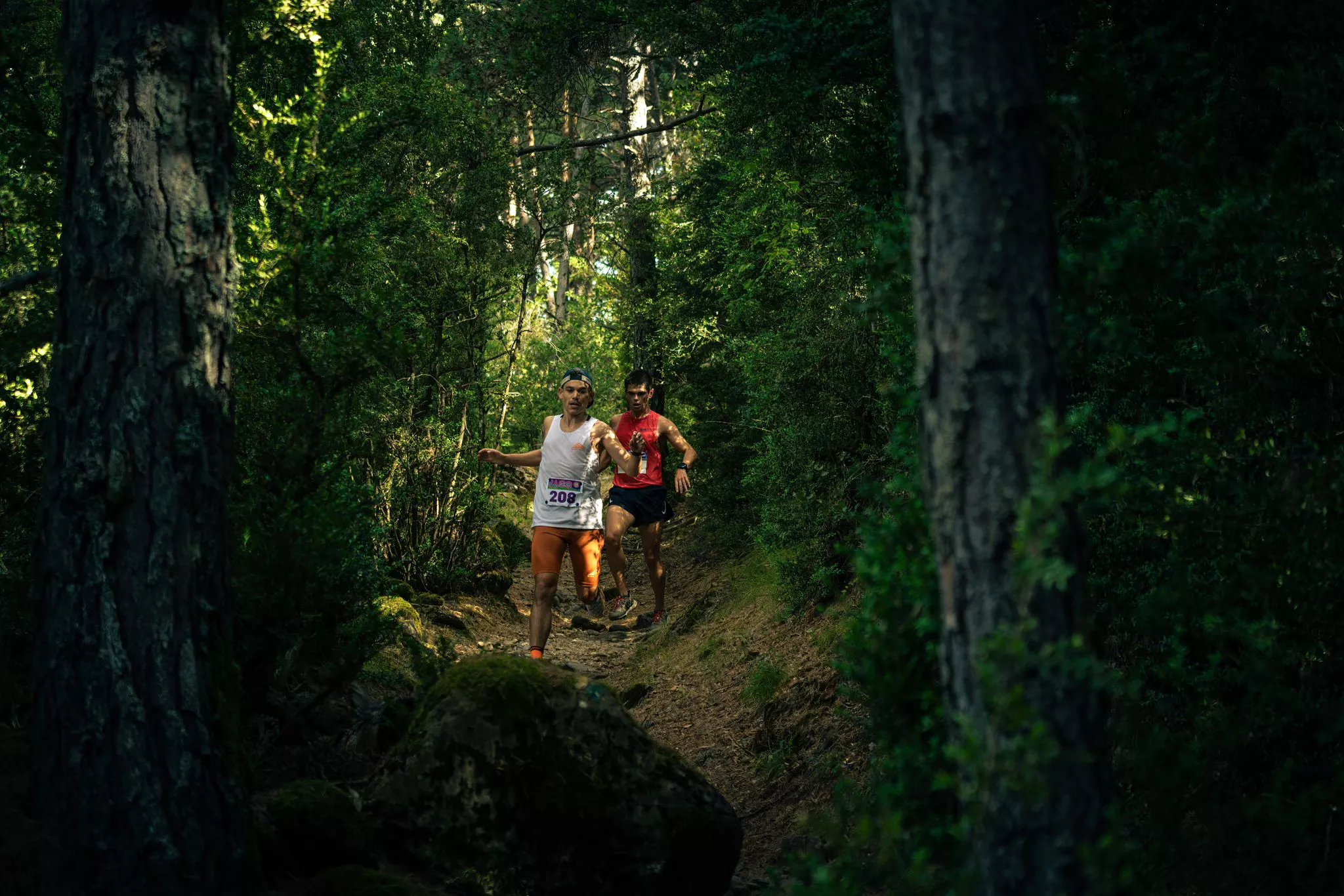 Subida a la Fuente del Paco de Villanúa. Turismo Villanua / Yhabril Moro