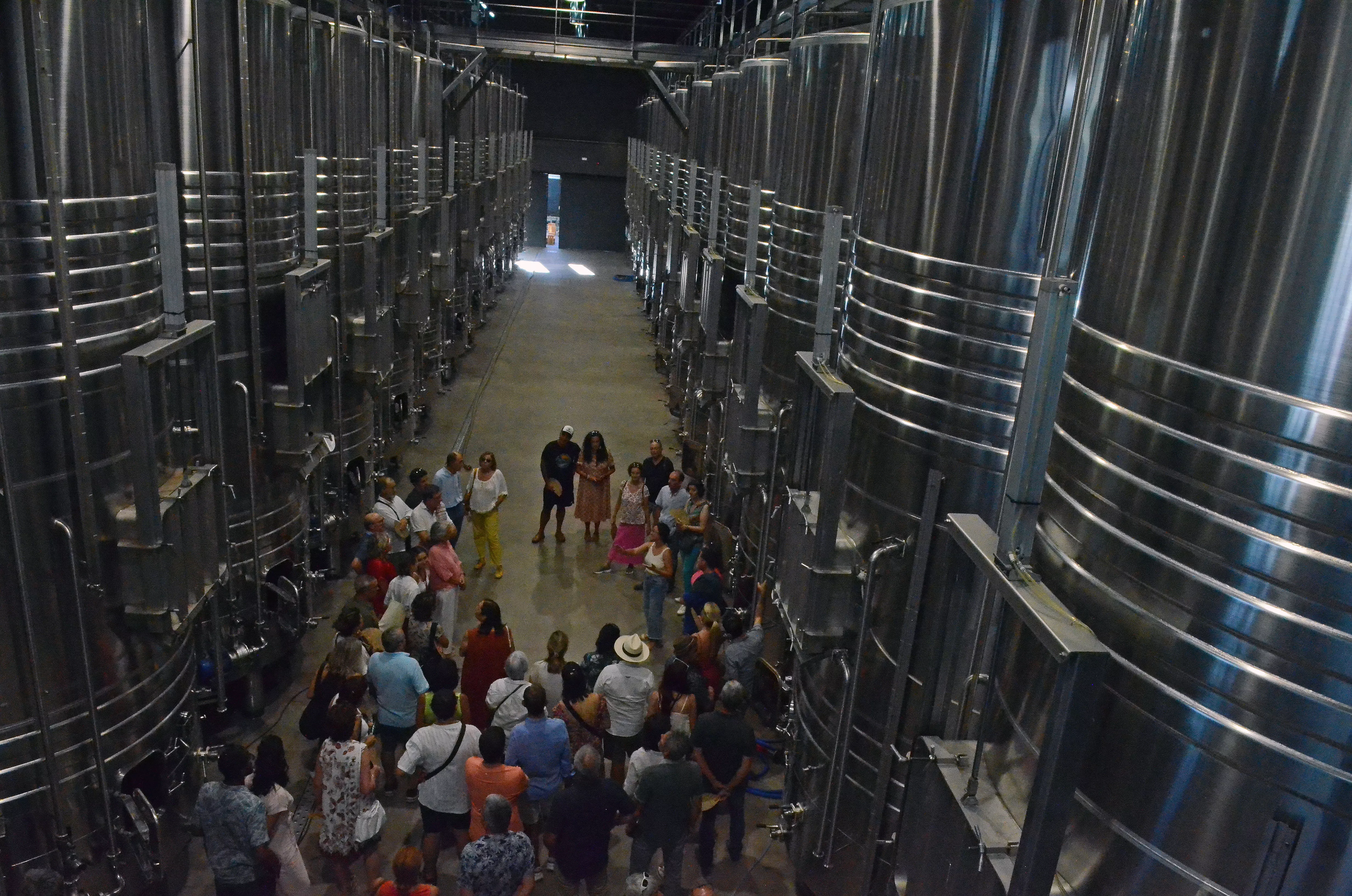 Actuación de Trio da Kali y la visita a la Bodega Laus dentro del Sonna.