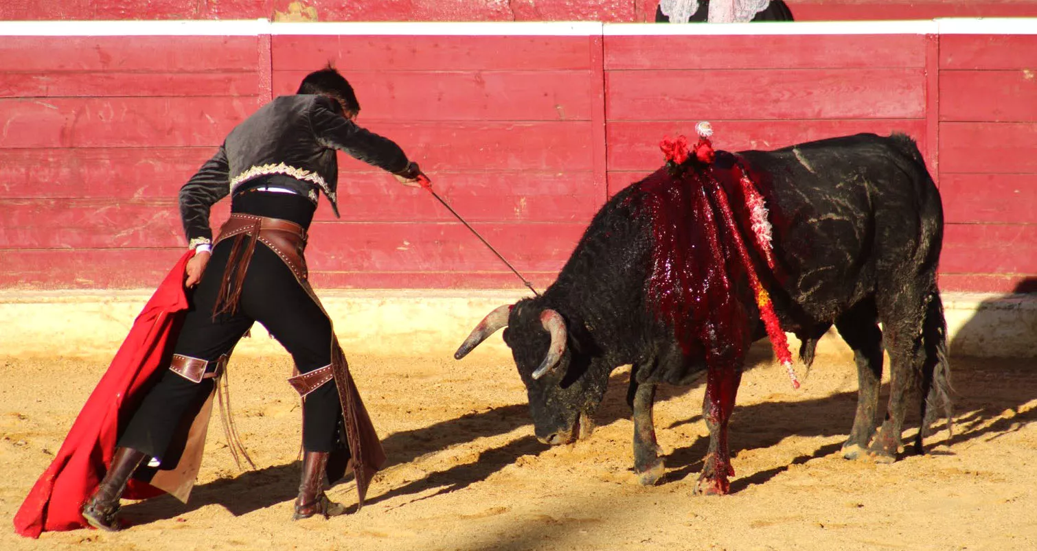 Corrida de rejones en San Lorenzo. Foto Marina DePlacido Sampietro