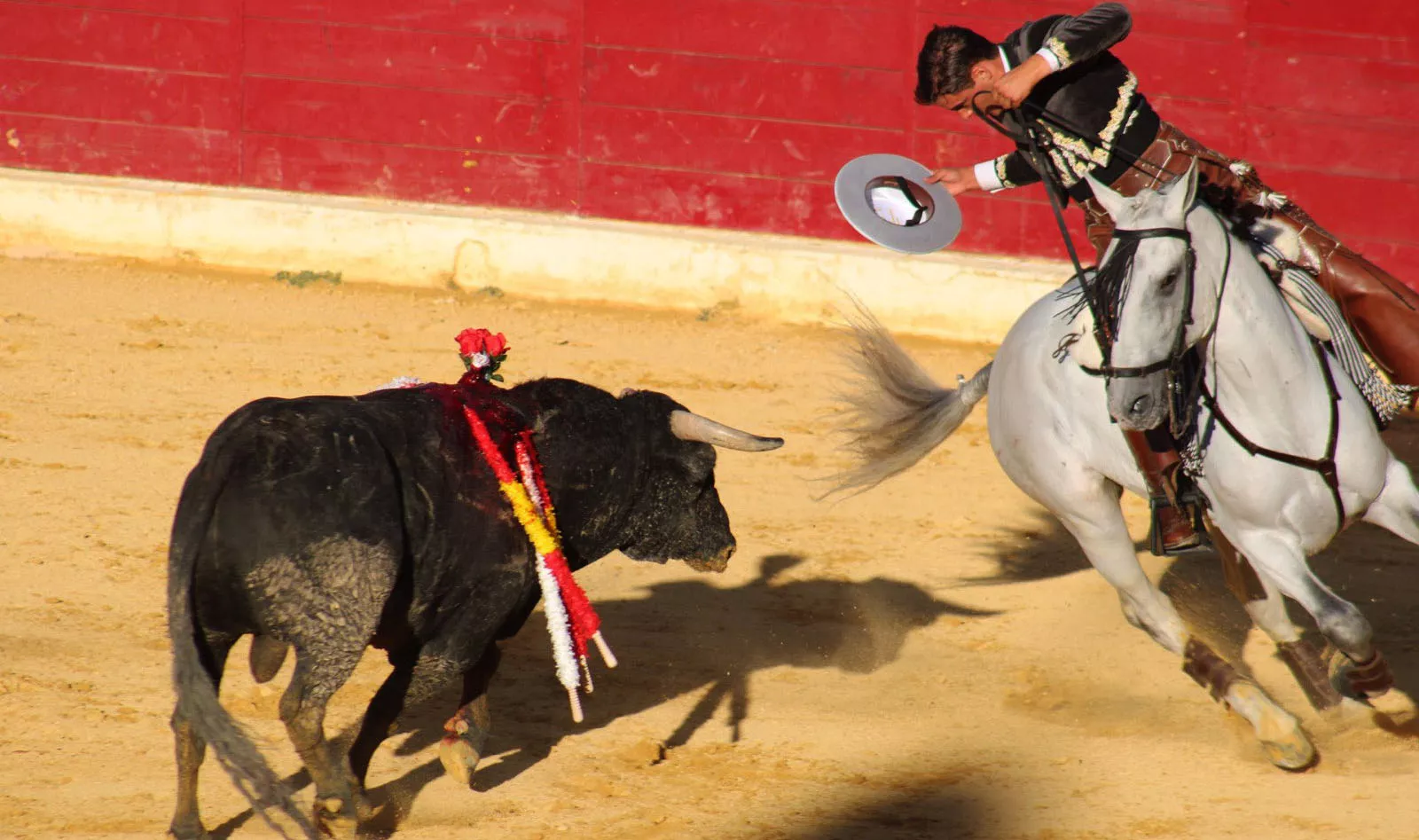 Corrida de rejones en San Lorenzo. Foto Marina DePlacido Sampietro